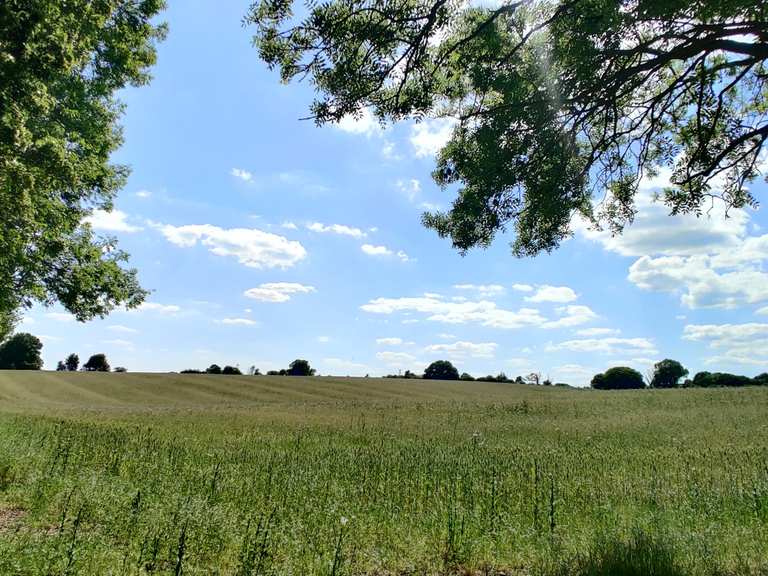 Top 13 Hikes and Walks around Coleshill Komoot