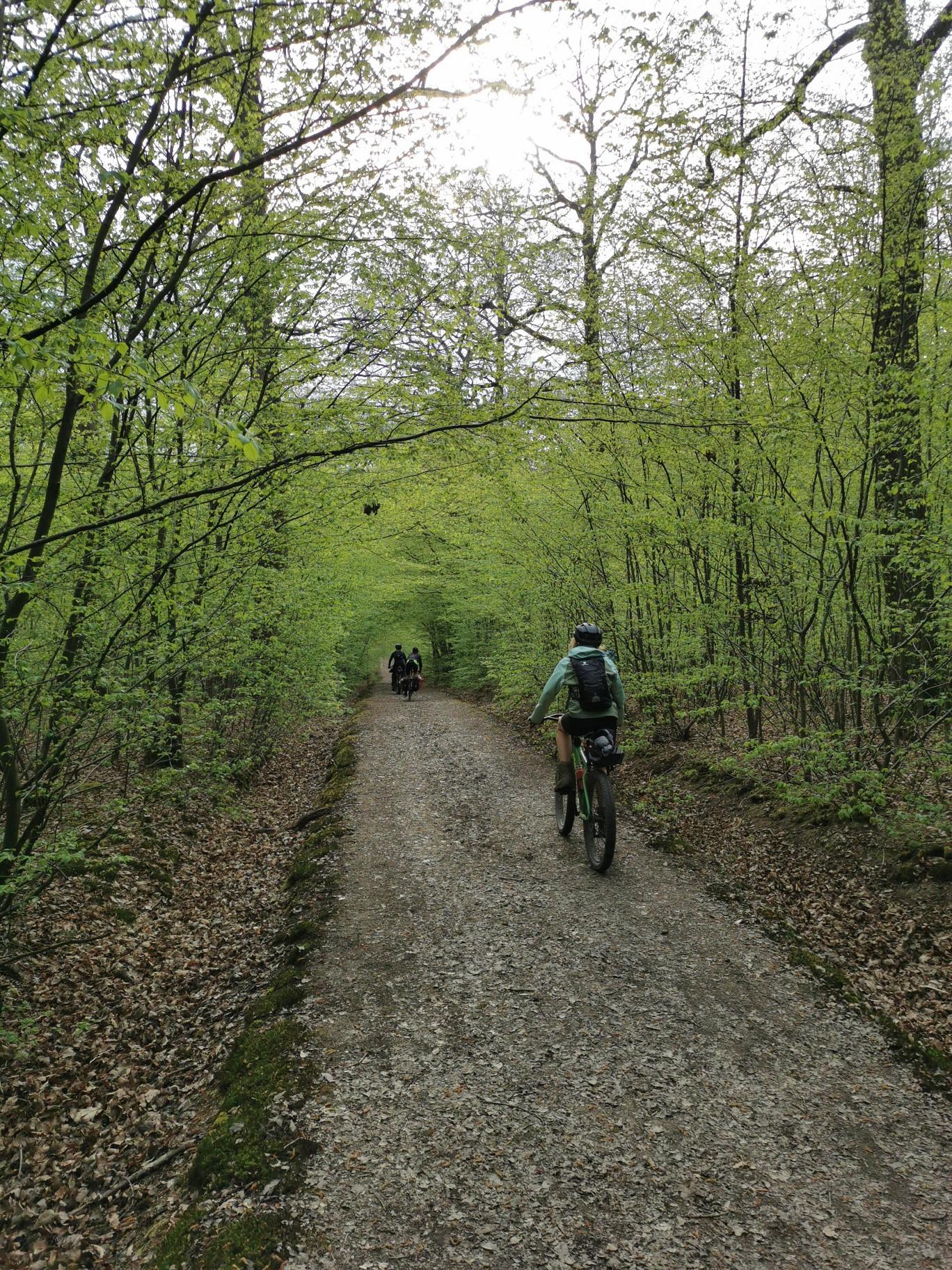 Epping Forest Cycle Route Map Top 20 Bike Rides And Cycling Routes Around Epping Forest | Komoot