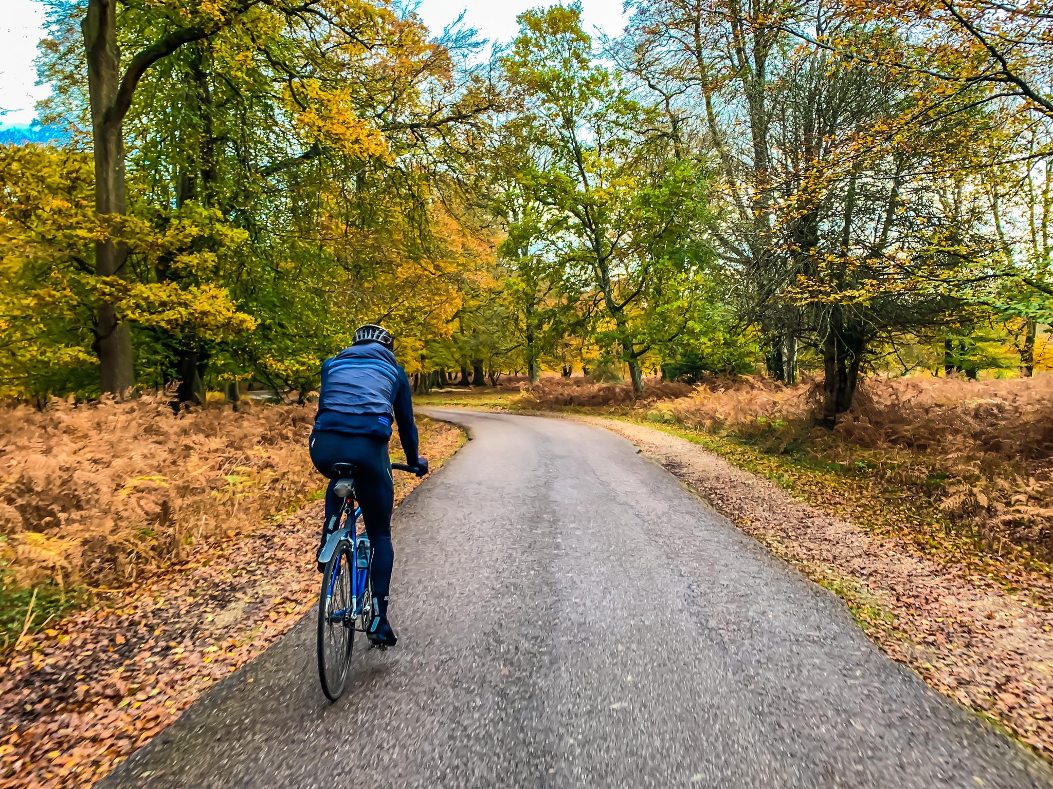 new forest gravel ride