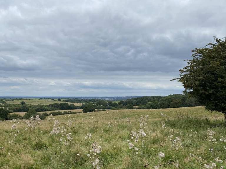 Top 10 Hikes and Walks around Kennington | Komoot