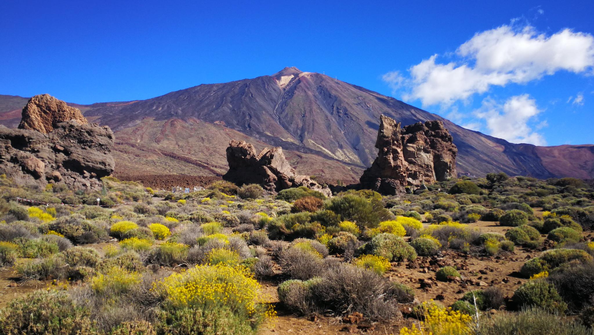 Las 20 Rutas De Senderismo Más Top En Tenerife | Komoot