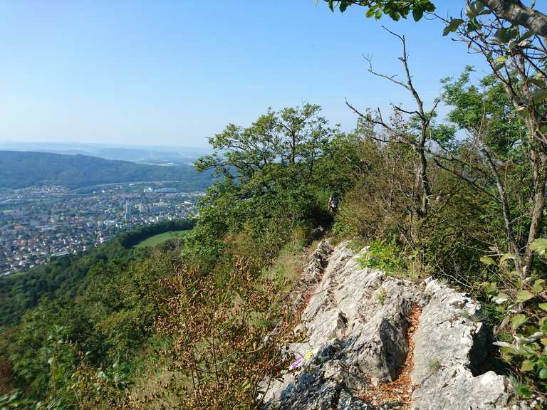 Die 11 Schönsten Wanderungen Rund Um Endingen Komoot