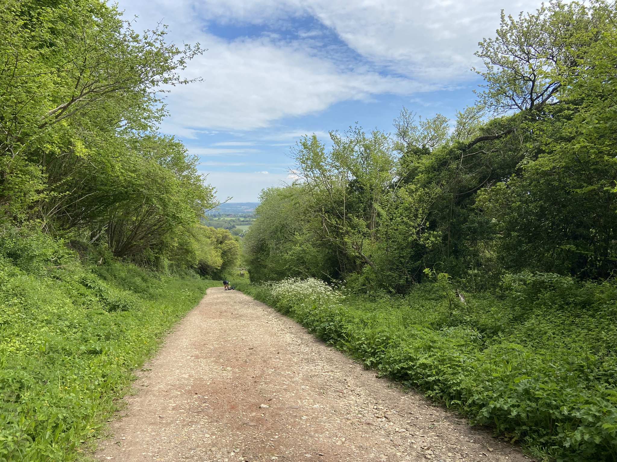 Top 20 Bike Rides and Cycling Routes around Rowlands Castle | Komoot