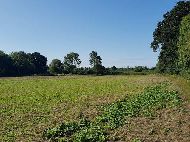 Le 11 escursioni e trekking migliori nei dintorni di Chesterton e