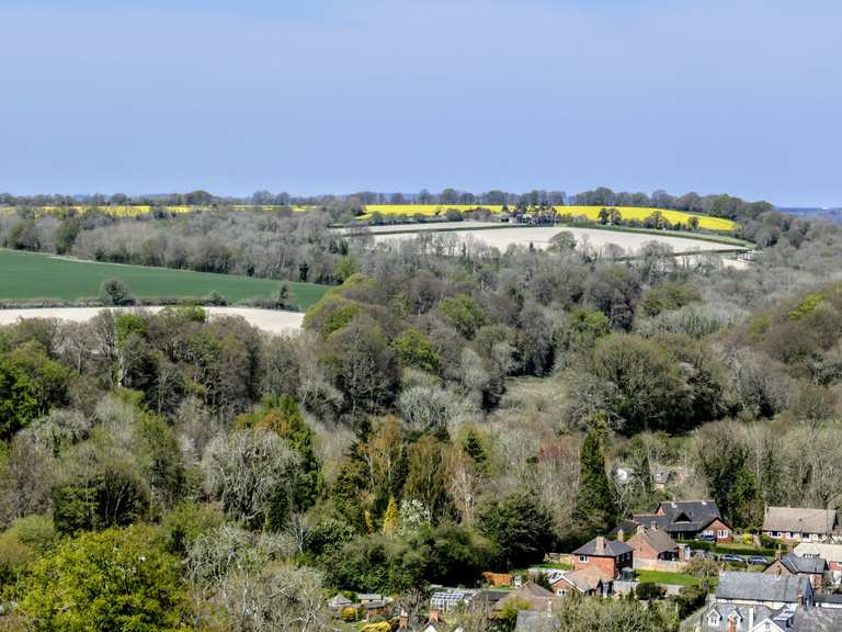 Top 10 Hikes and Walks around Selborne | Komoot