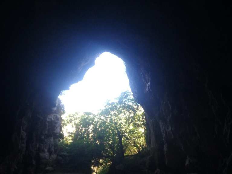 The best walks and hikes around Killinchy In The Woods | Komoot