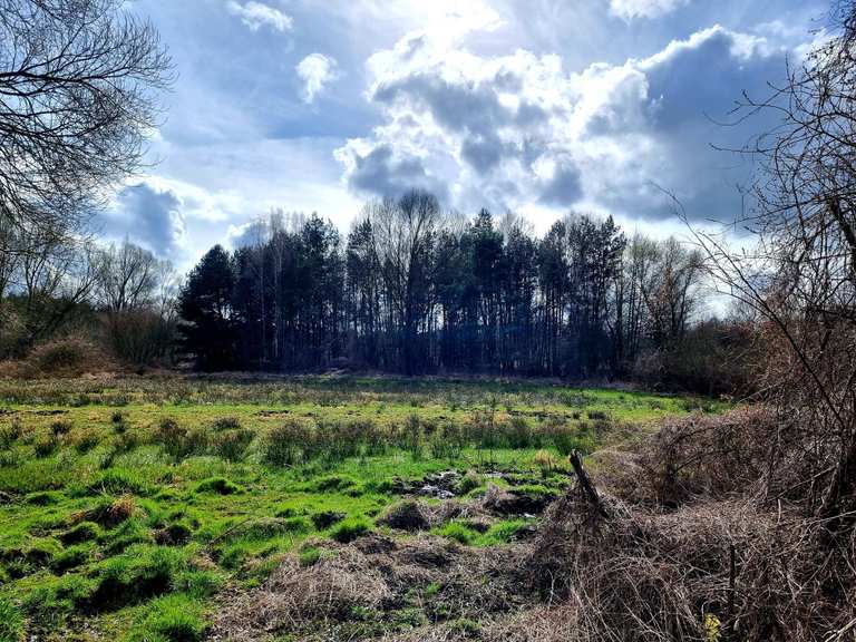 Die 10 schönsten Laufstrecken rund um Hohen Neuendorf ? | Komoot