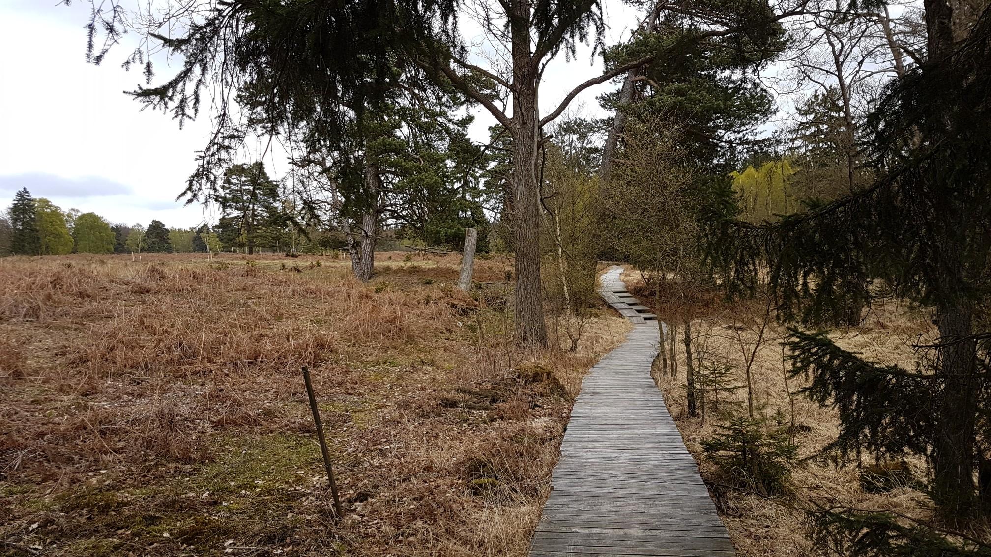 Ausflugsziele Rund Um Gottingen Die Top Komoot Komoot