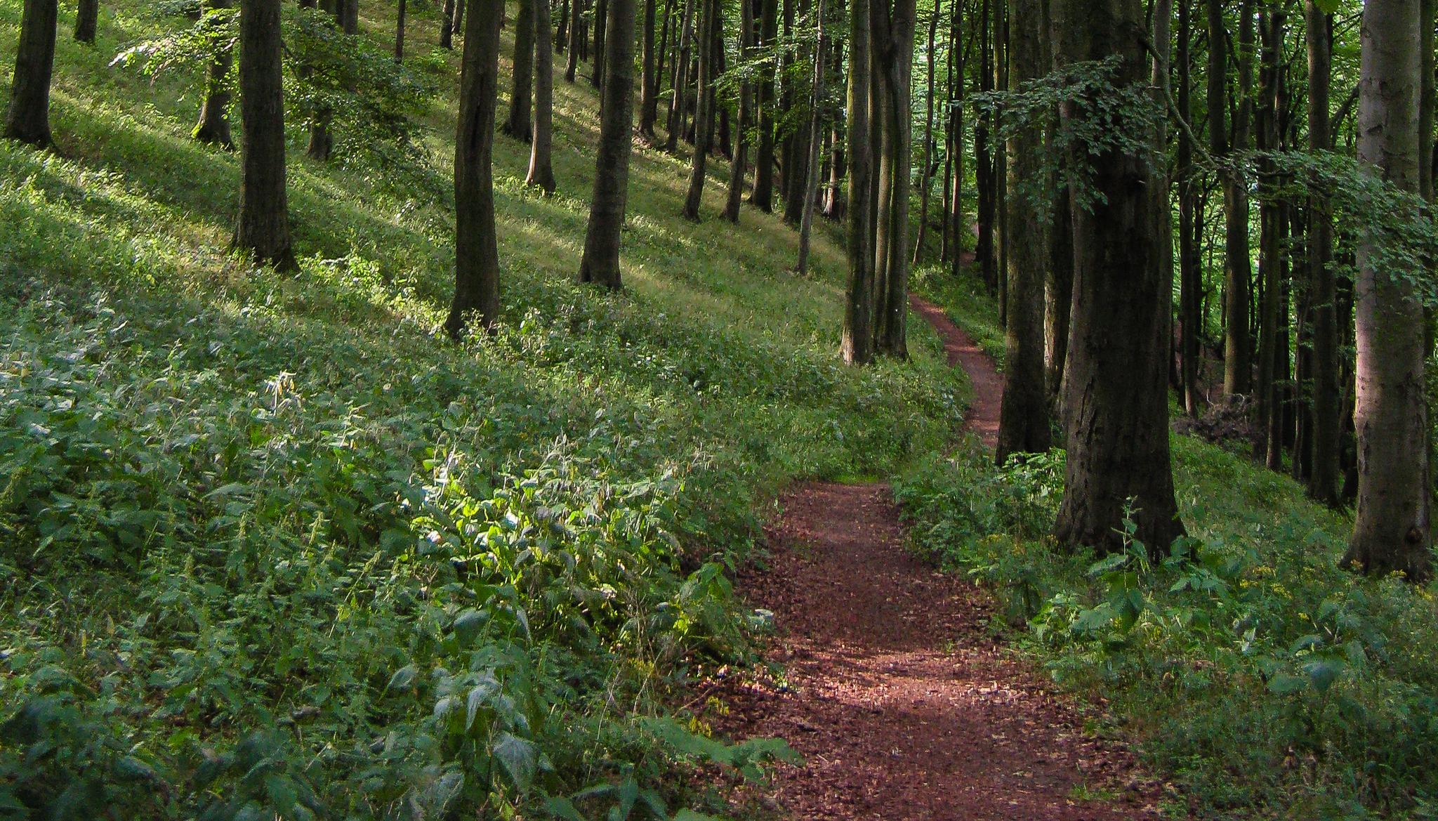 Ausflugsziele Rund Um Gottingen Die Top Komoot Komoot
