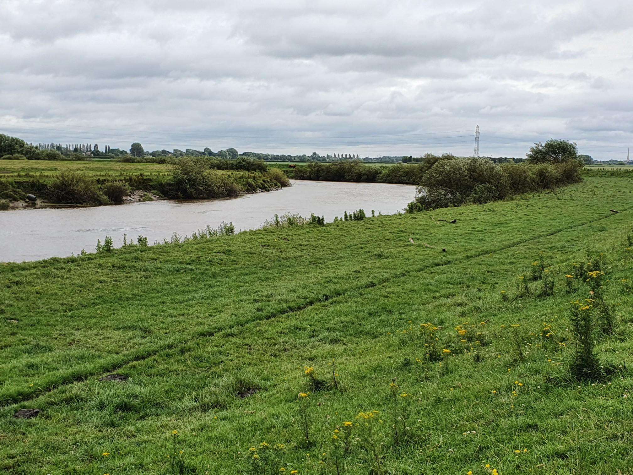 Top 10 Hikes and Walks around Hemingbrough | Komoot