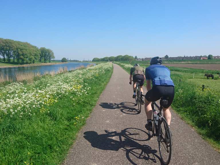 bike travel rotterdam