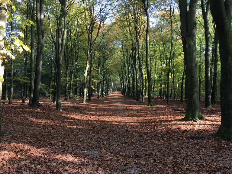 Die 20 schönsten Wanderungen rund um Veenendaal Komoot
