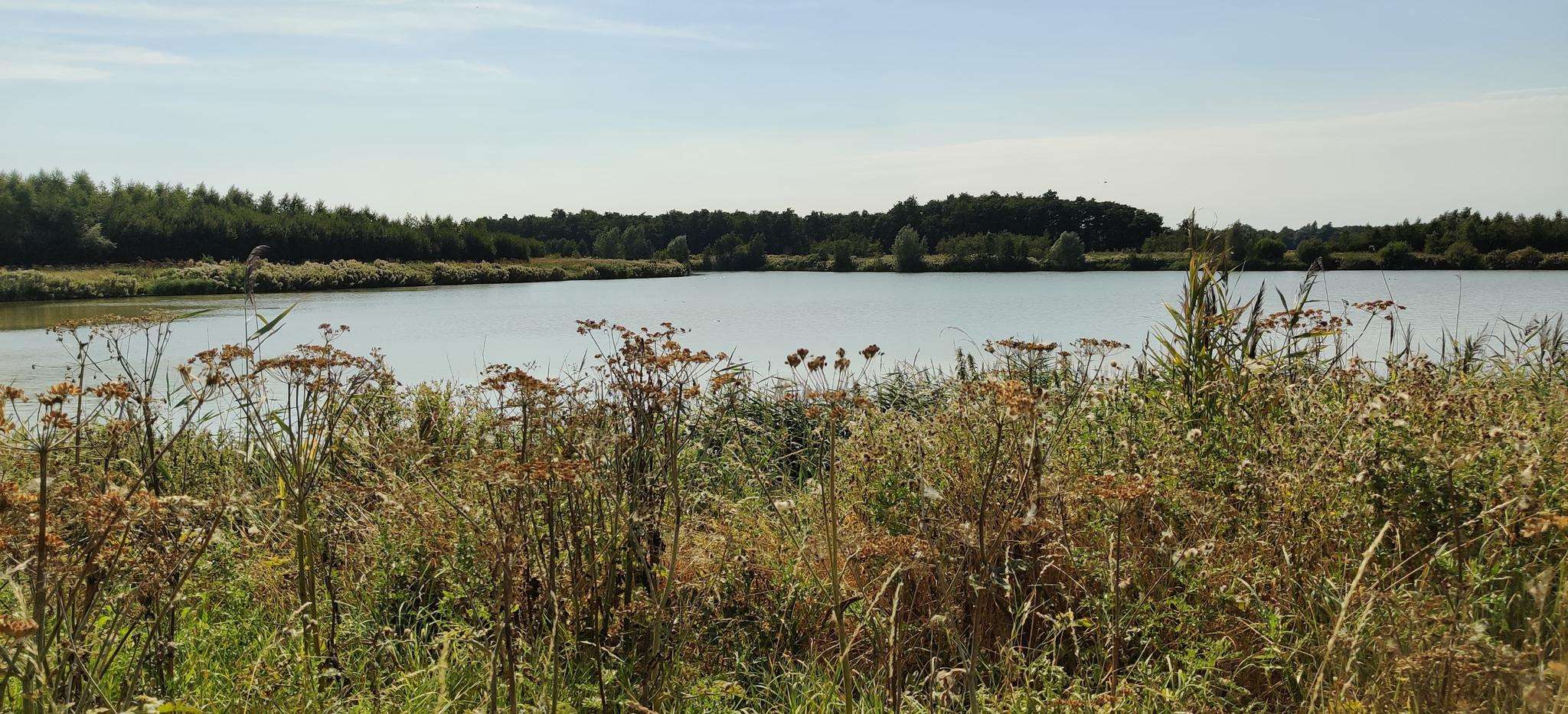 radje Top 10 Hikes and Walks around Stede Broec | Komoot