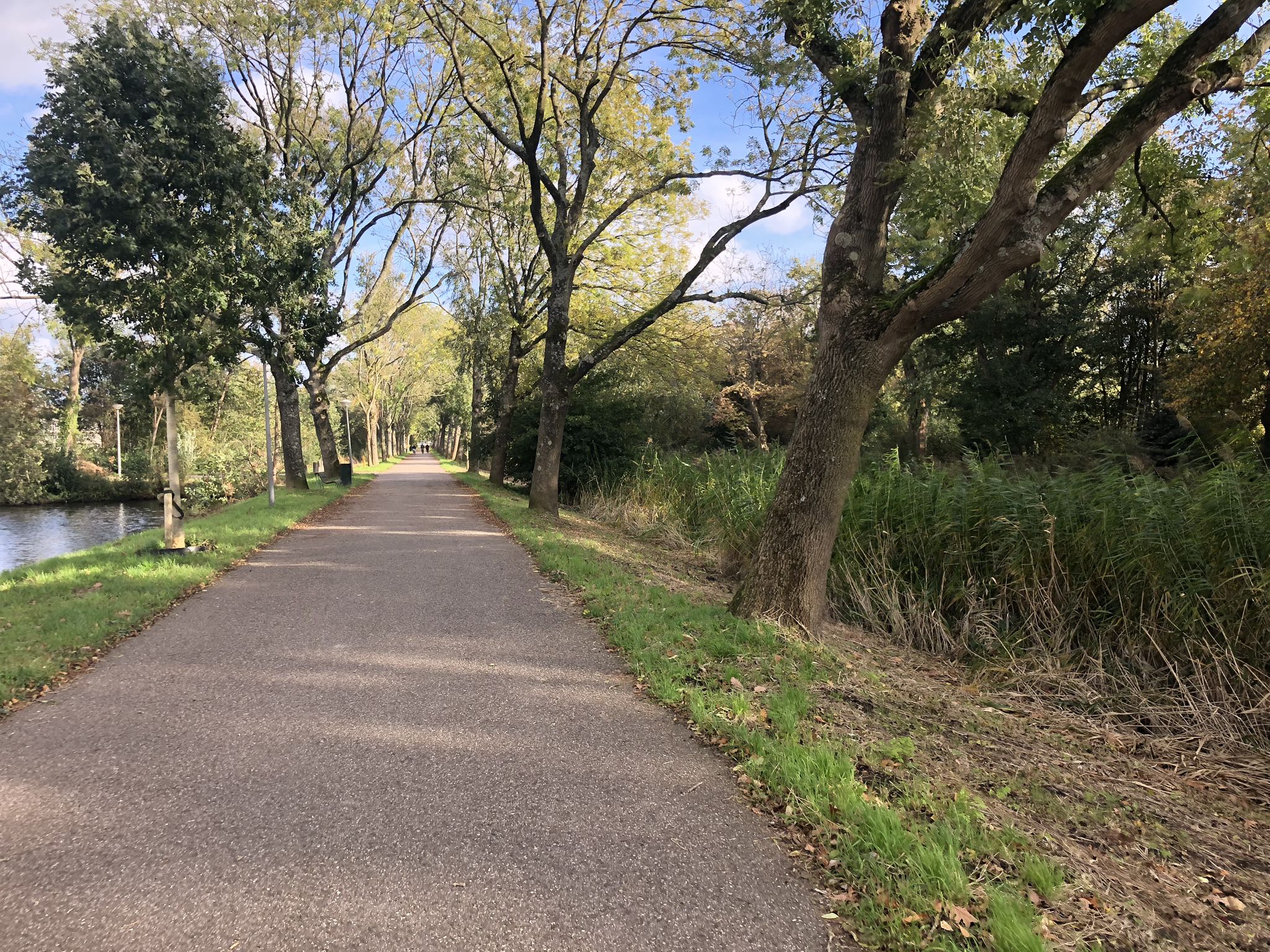 best bike tour amsterdam