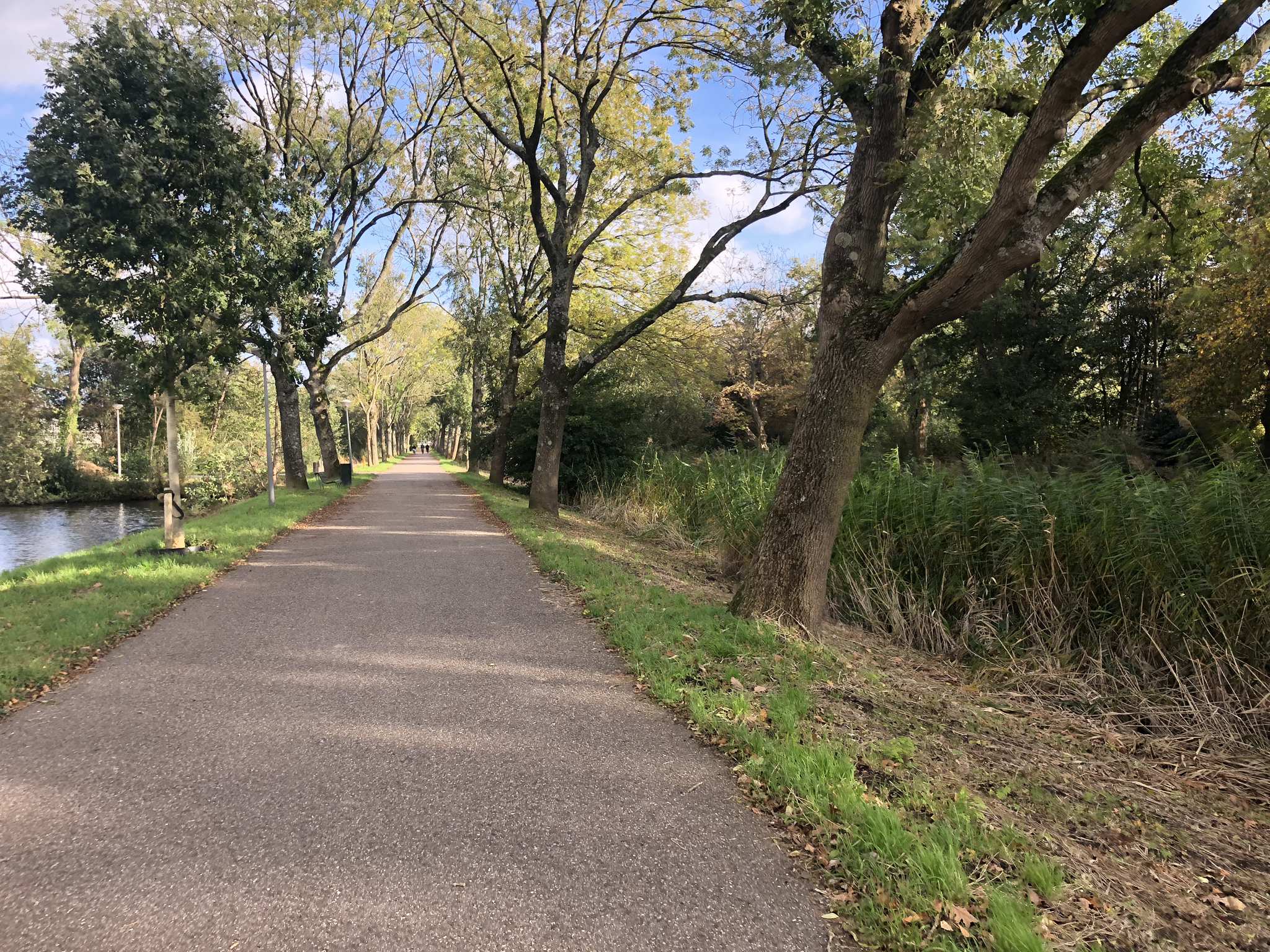 bike tour route amsterdam