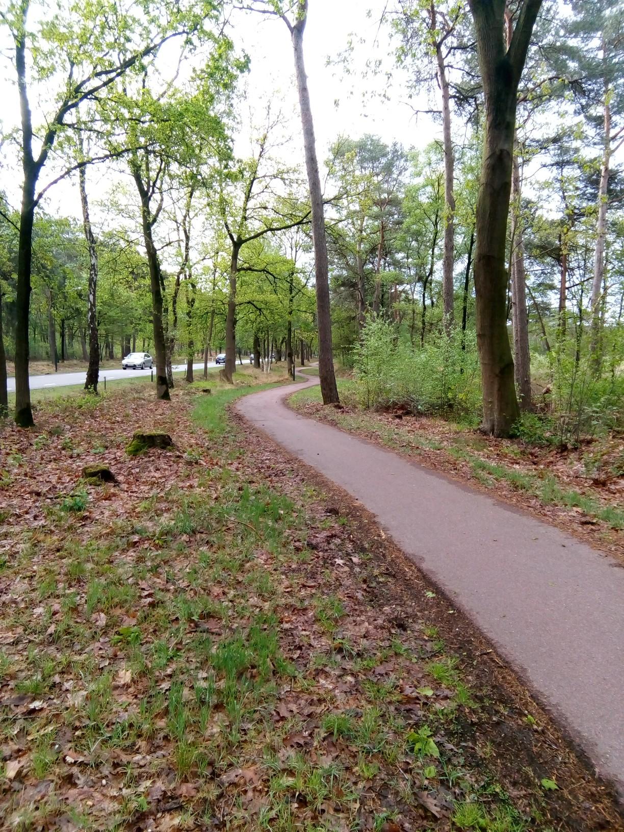 road bike trails near me