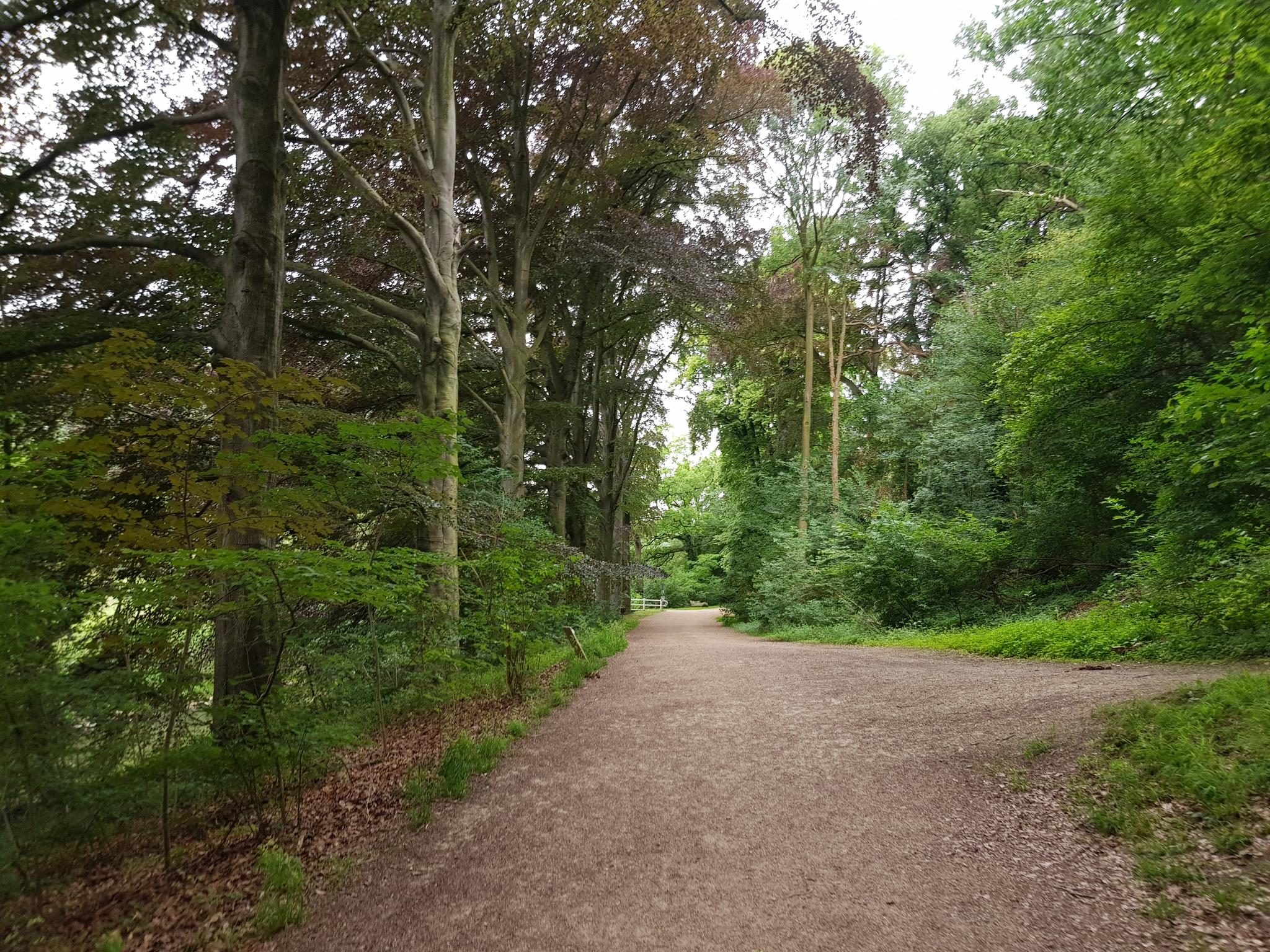 De 5 Mooiste Wandelroutes Rond Valkenburg Aan De Geul | Komoot