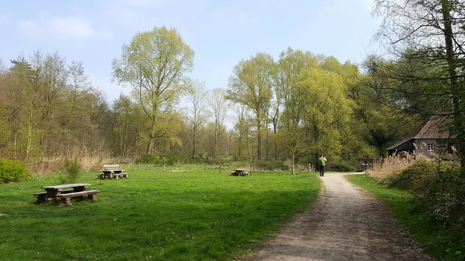 De 16 Mooiste Wandelroutes Rond Helden | Komoot