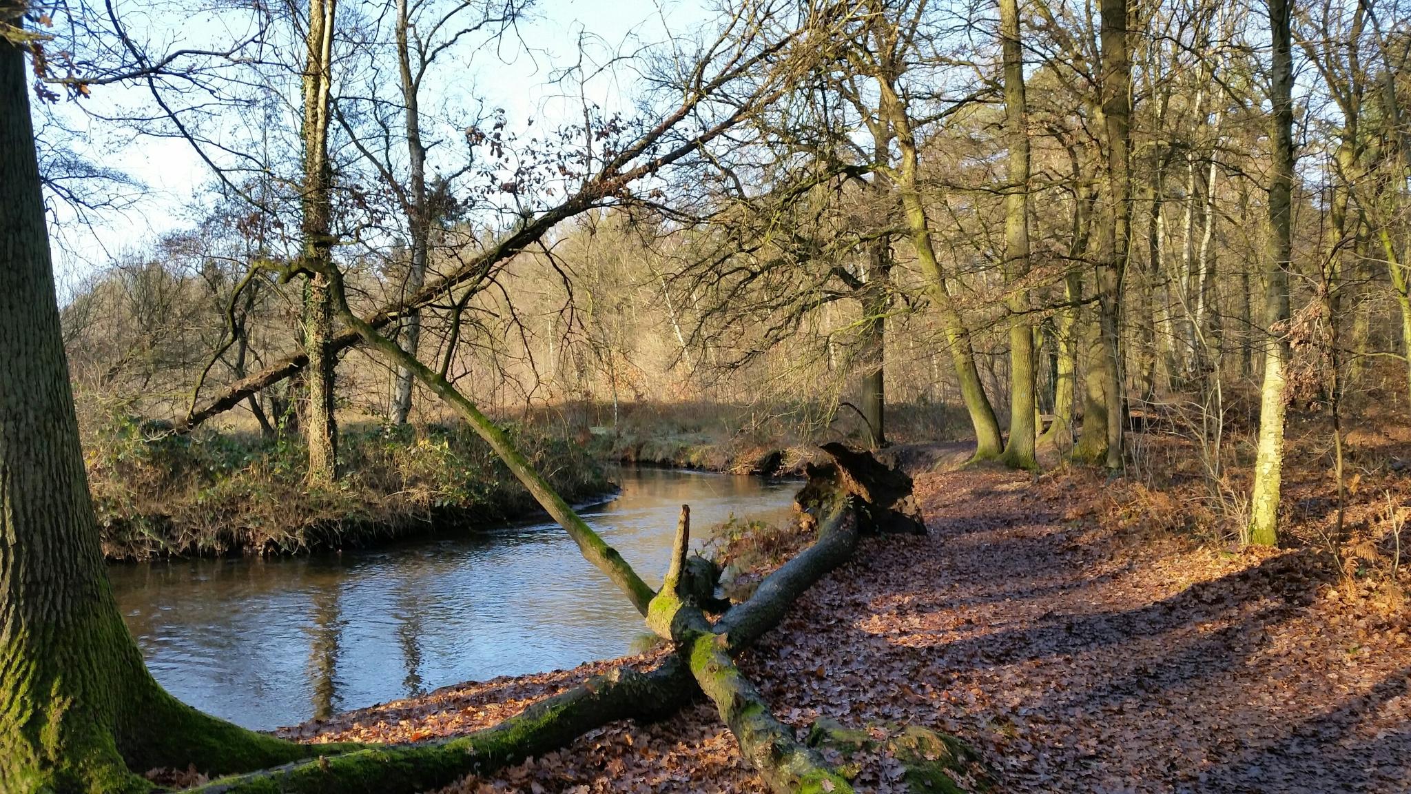 De 20 Mooiste Wandelroutes Rond Haelen | Komoot