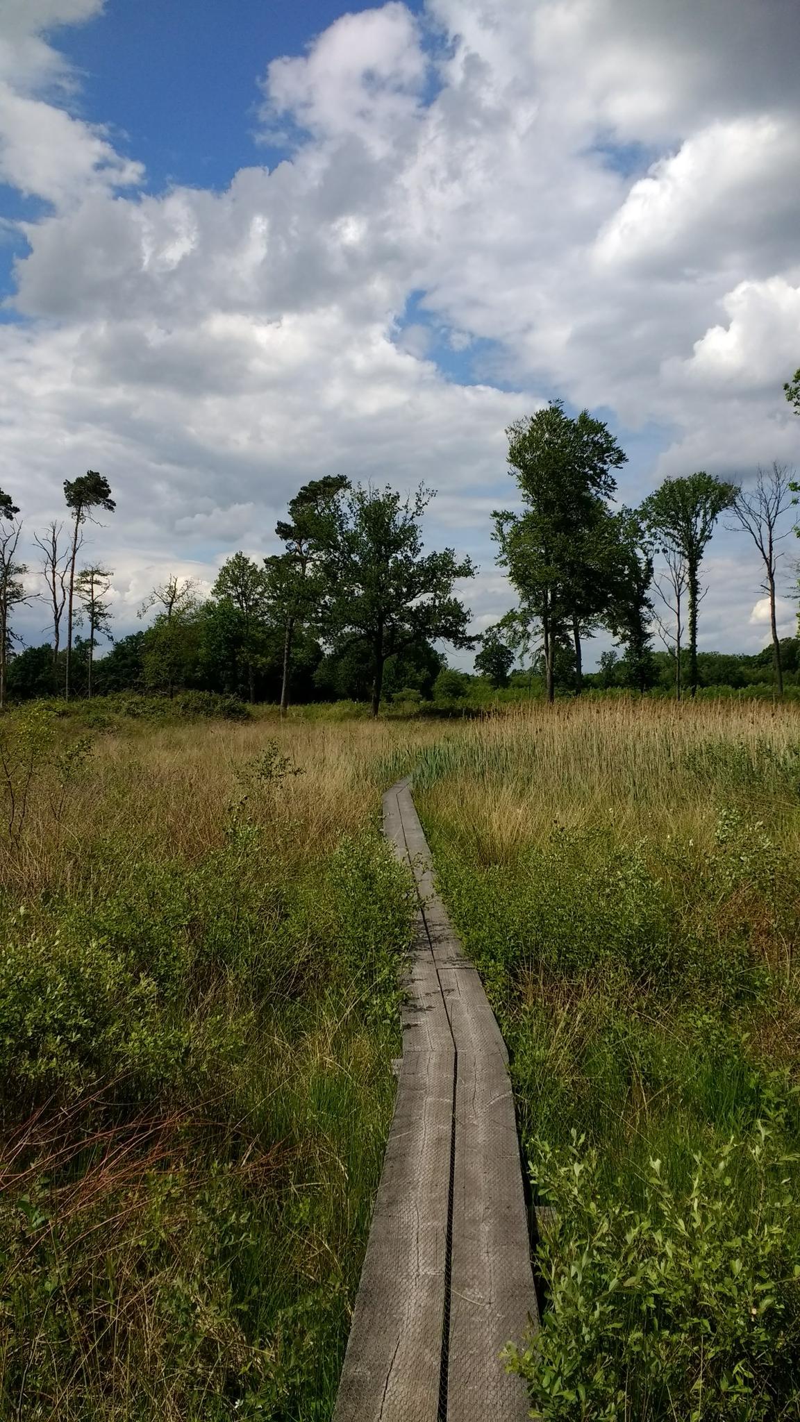 De 20 Mooiste Wandelroutes Rond Winterswijk | Komoot