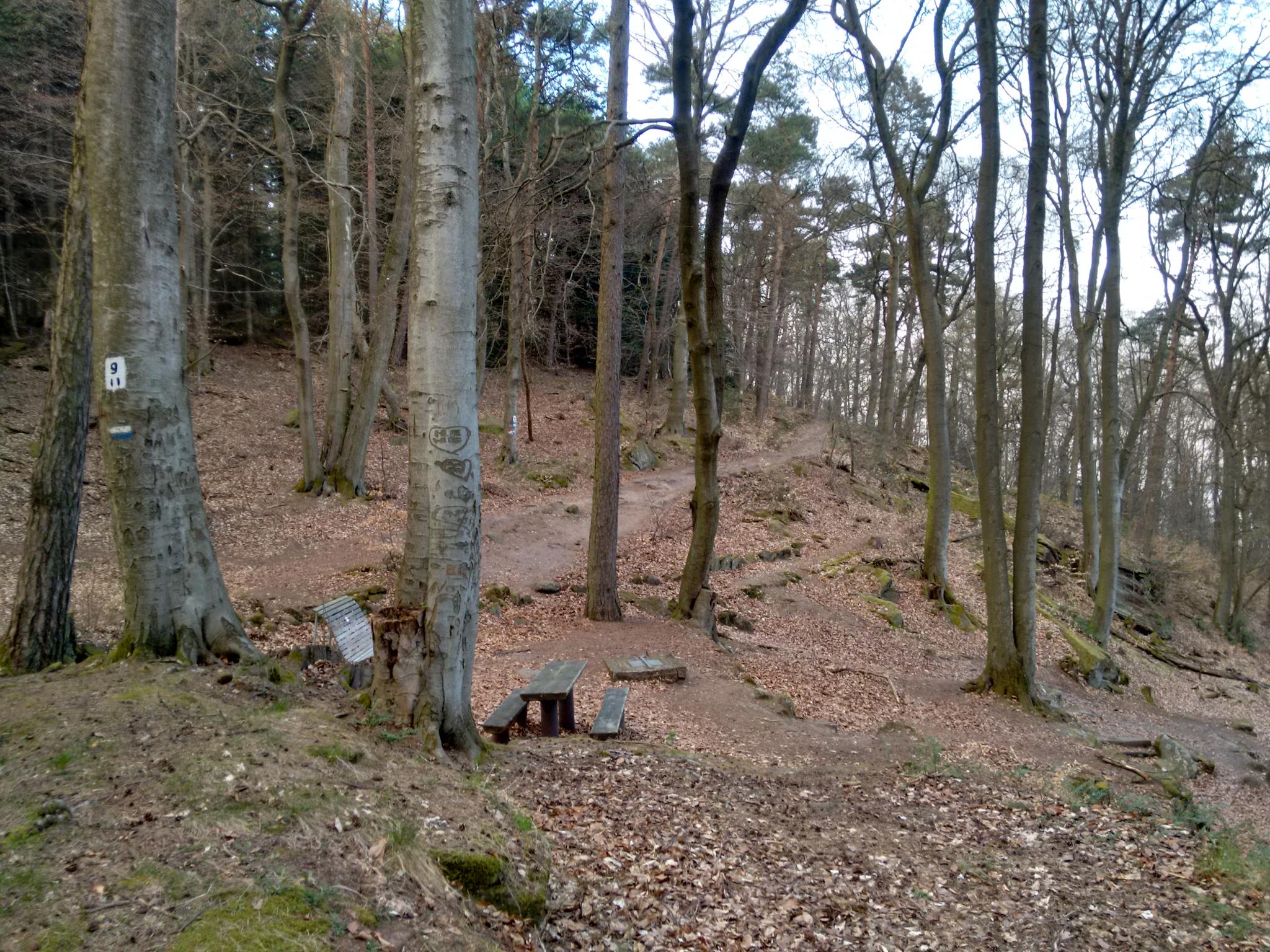 Drachenfels Lambertskreuz Runde Von Galgental Wanderung Komoot