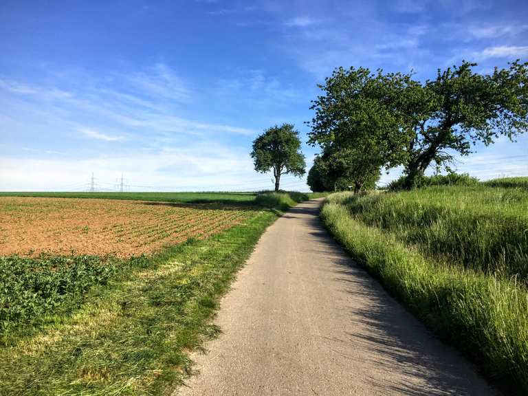Die 10 schönsten Fahrradtouren rund um Ludwigsburg Komoot