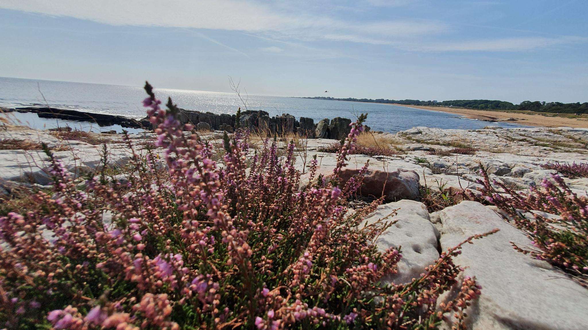 Los mejores sitios que ver en Simrishamn - Top 20 | Komoot