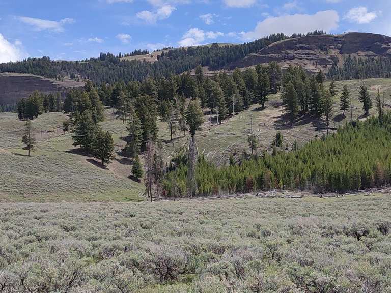 The best walks and hikes in the Absaroka Range | Komoot
