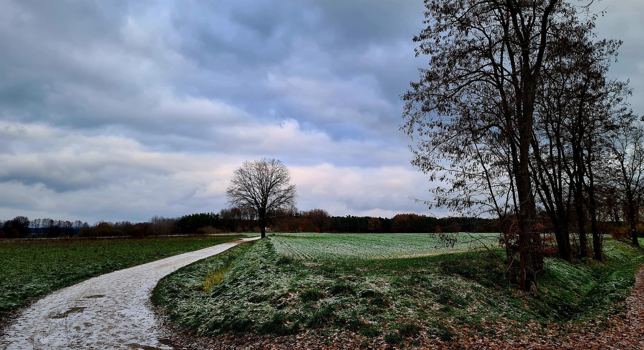 Sports Field - Adelsdorf