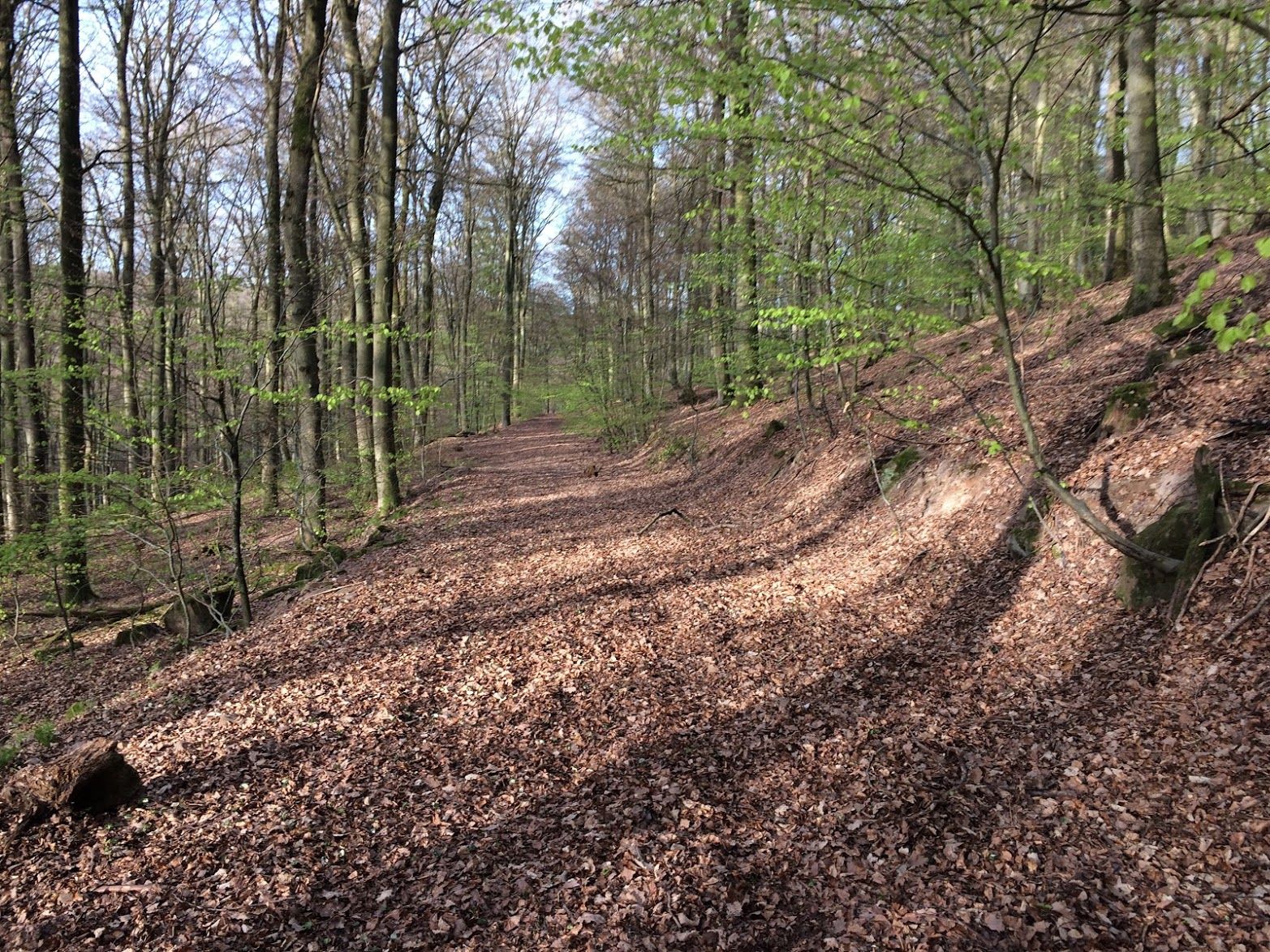 Top 10 Running Trails around Trier Komoot