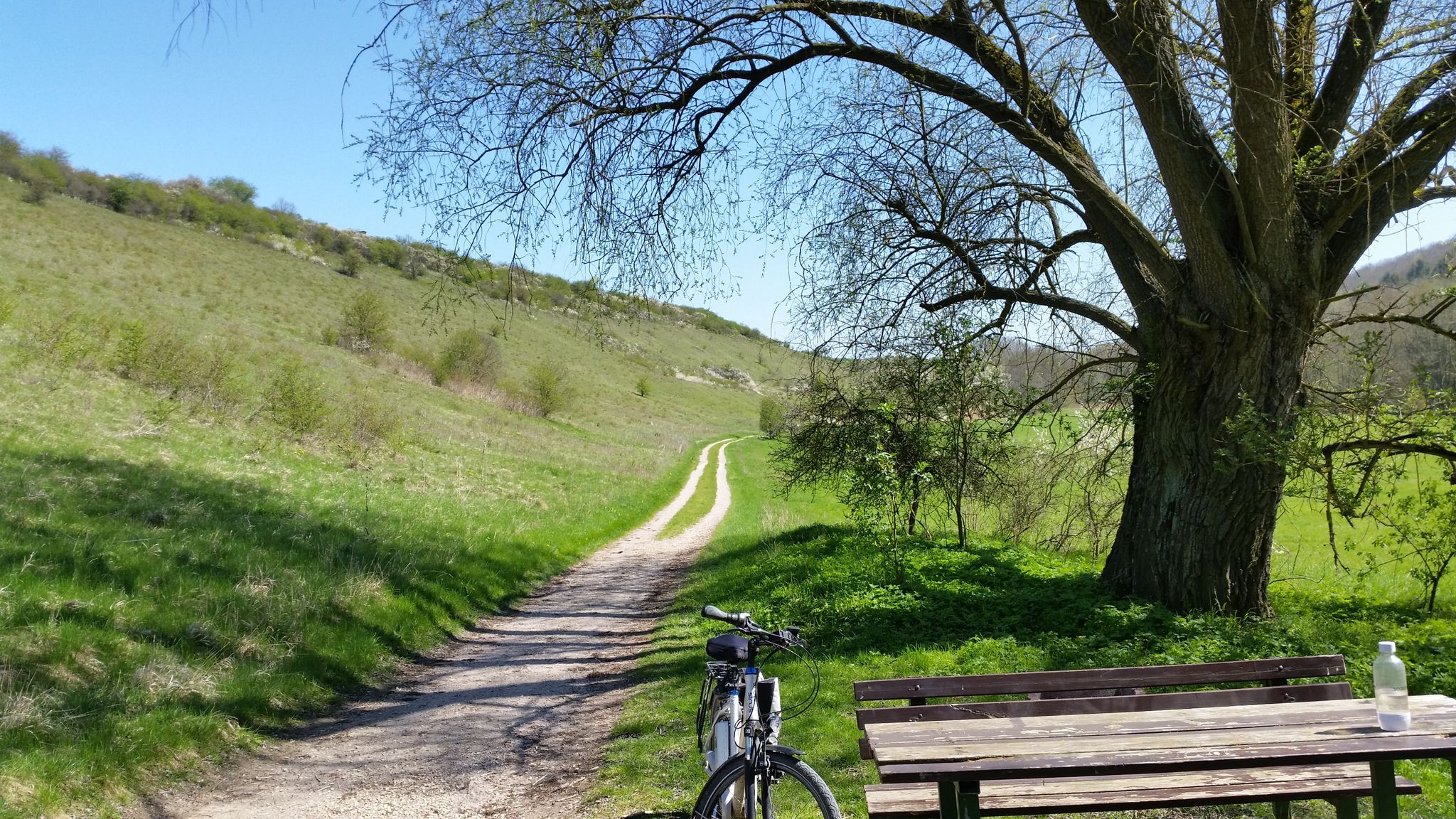 Top 10 Bike Rides and Cycling Routes around Erfurt Komoot