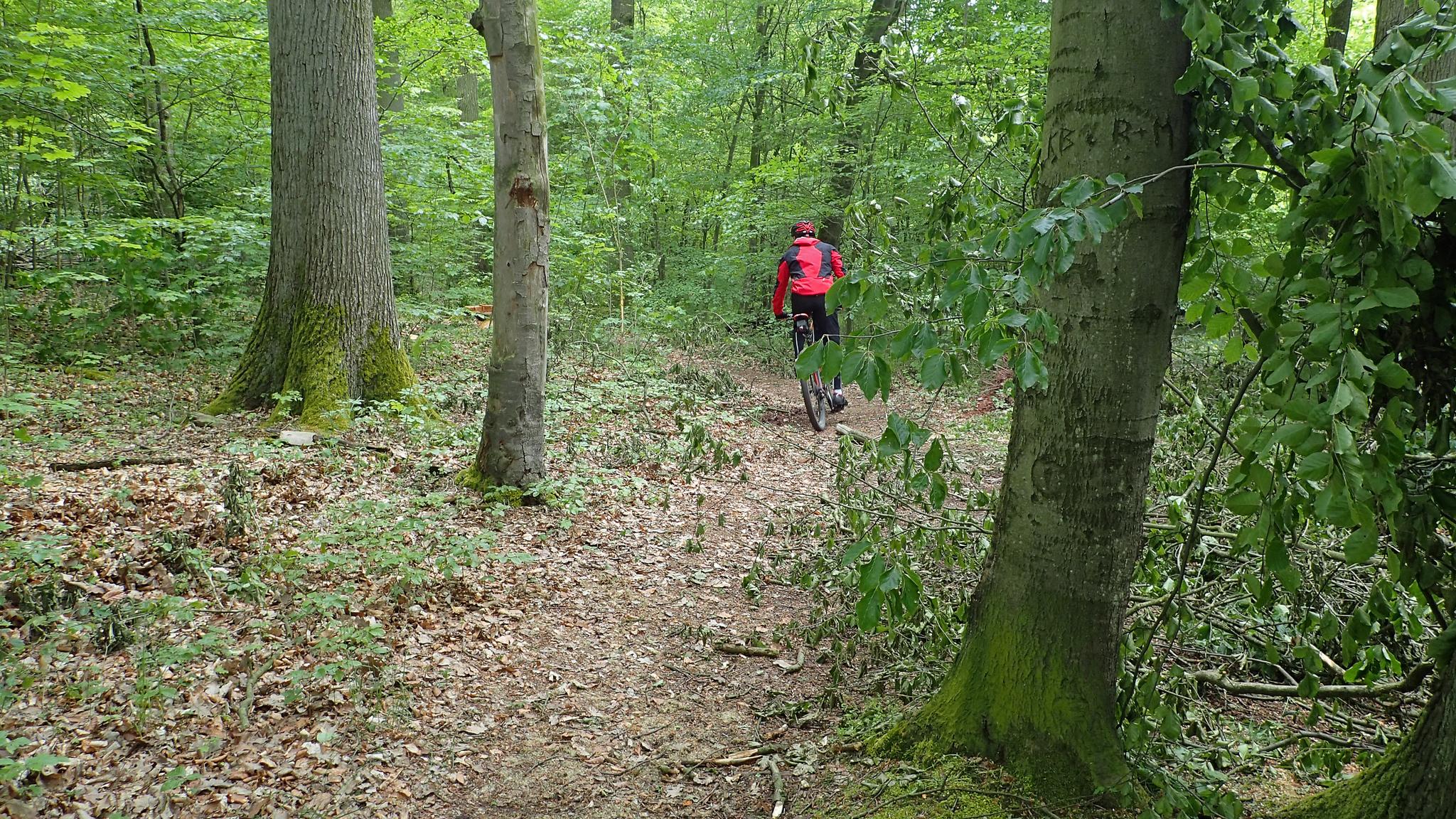 gravel paths near me