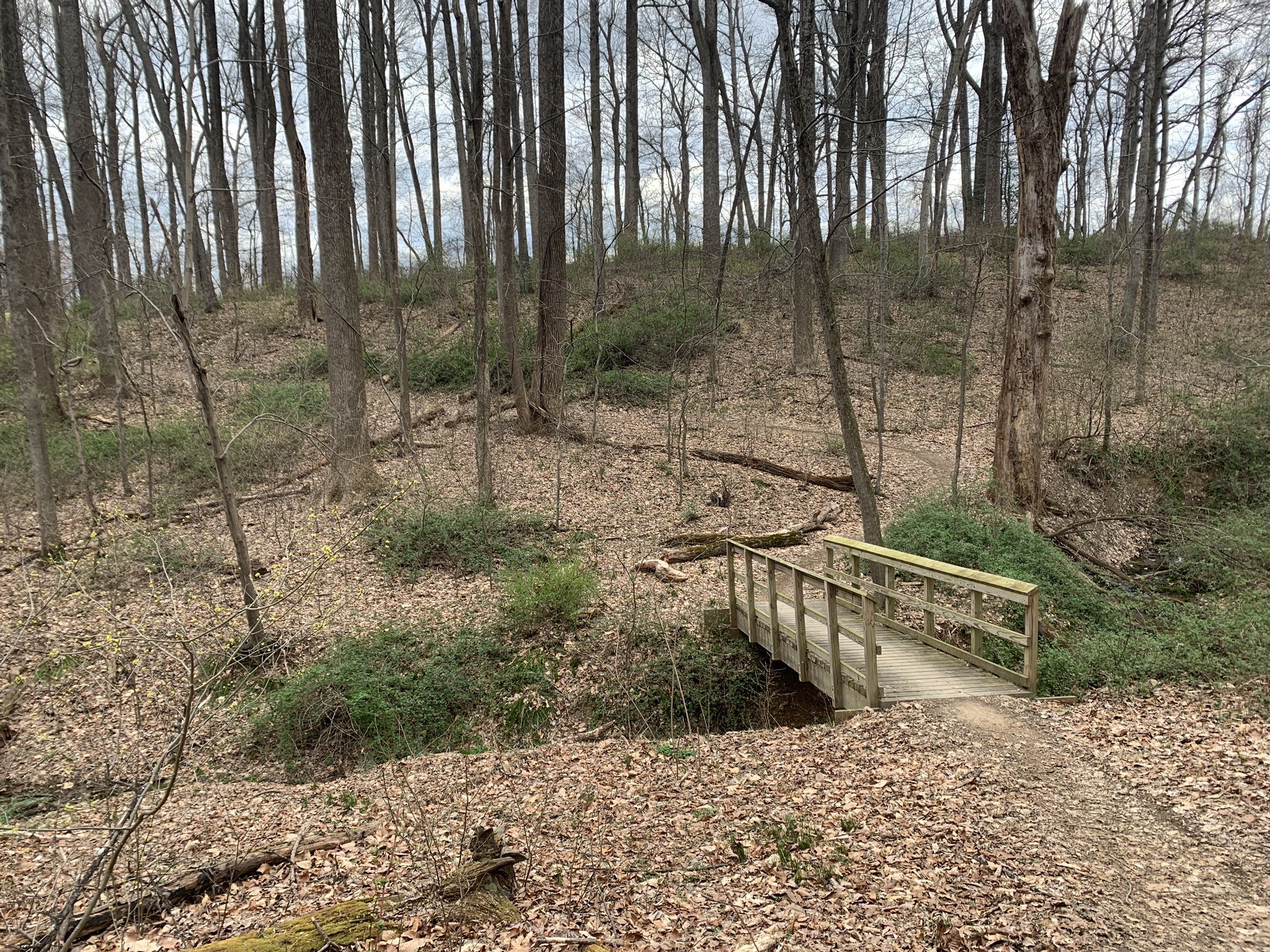 Wooden footbridge over a small stream in a leafless forest. - Seneca Creek State Park – Schaeffer Farm Trail System loop from Little Seneca Greenway Stream Valley Park