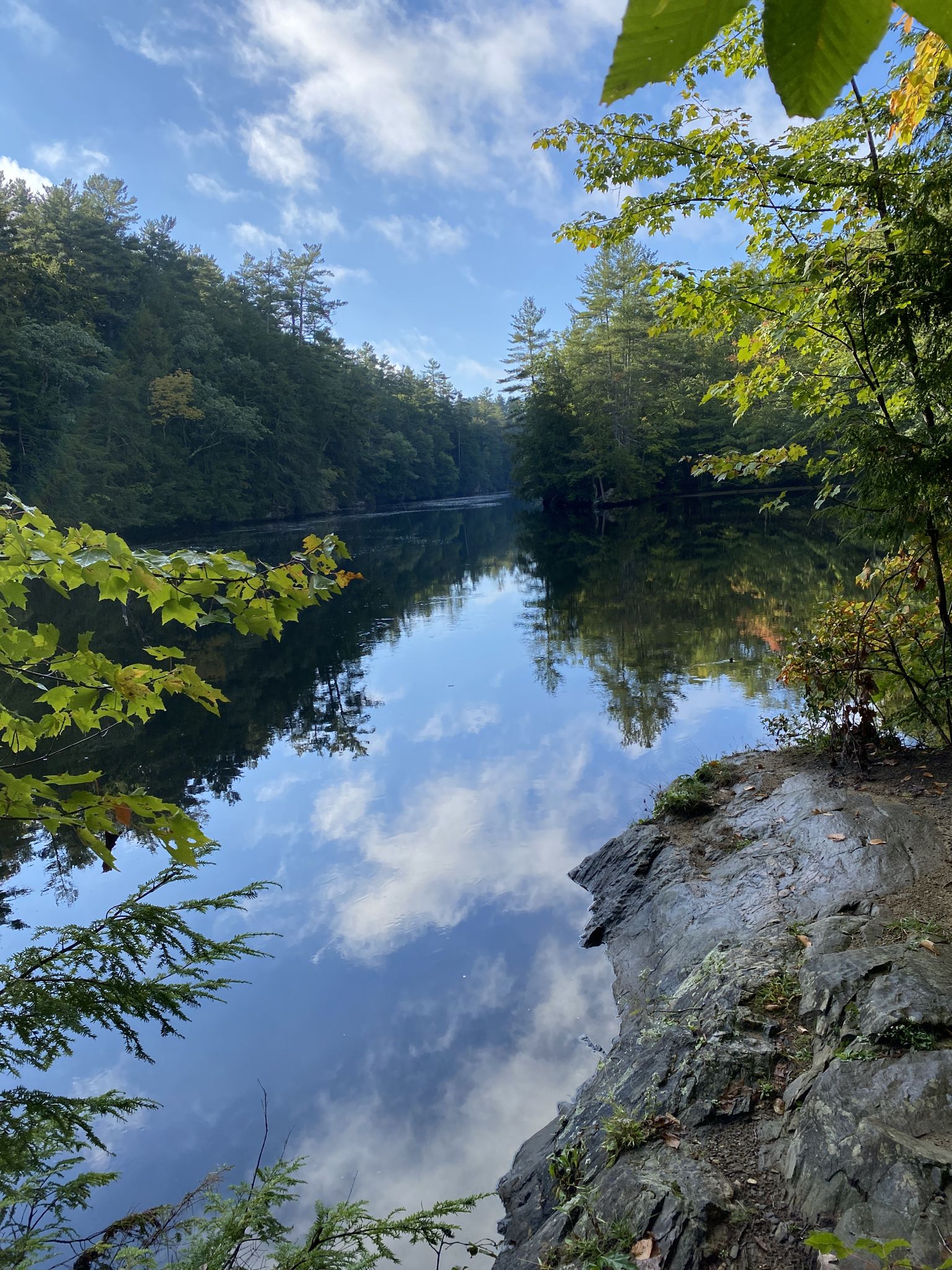Calm water reflects a blue sky and clouds, surrounded by green trees and rocks. - Indian Cellar Preserve Loop