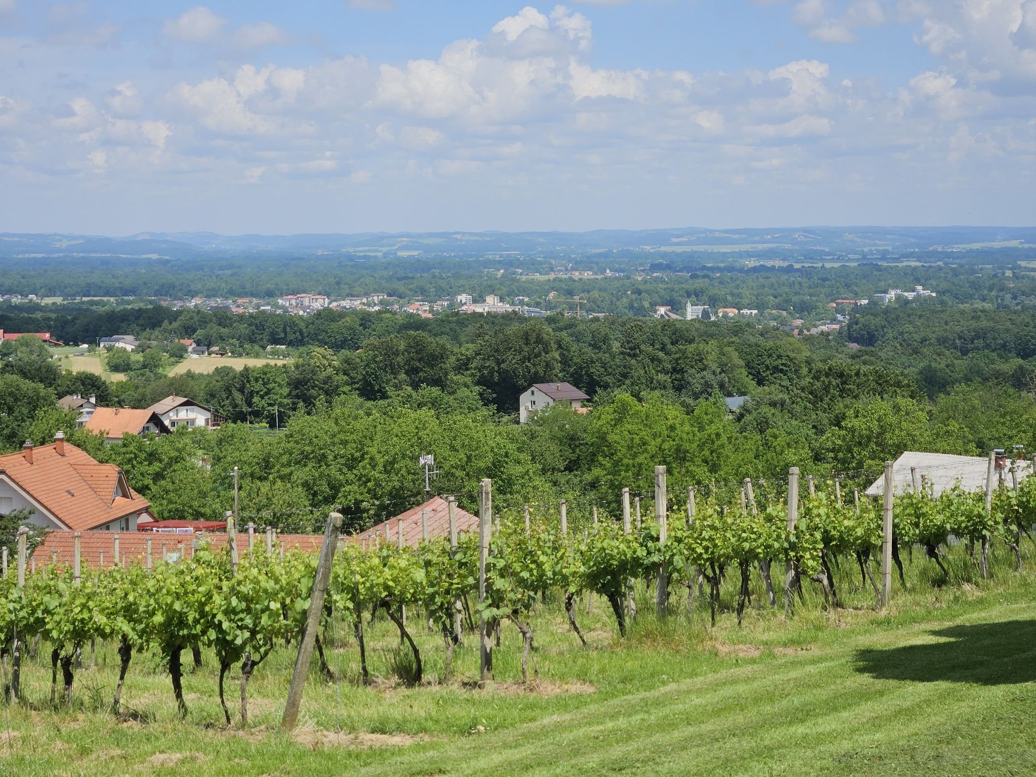 Blick auf Radenci