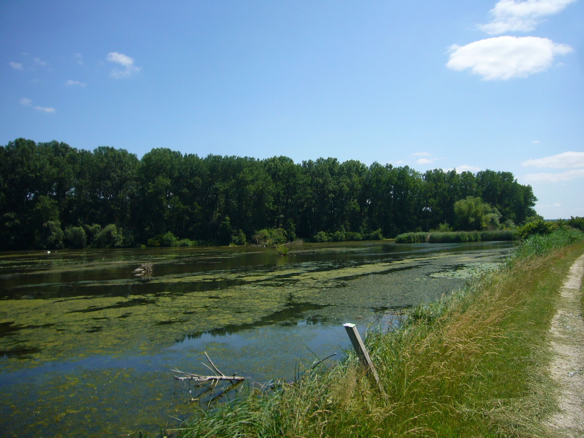Günzstausee Waldstetten