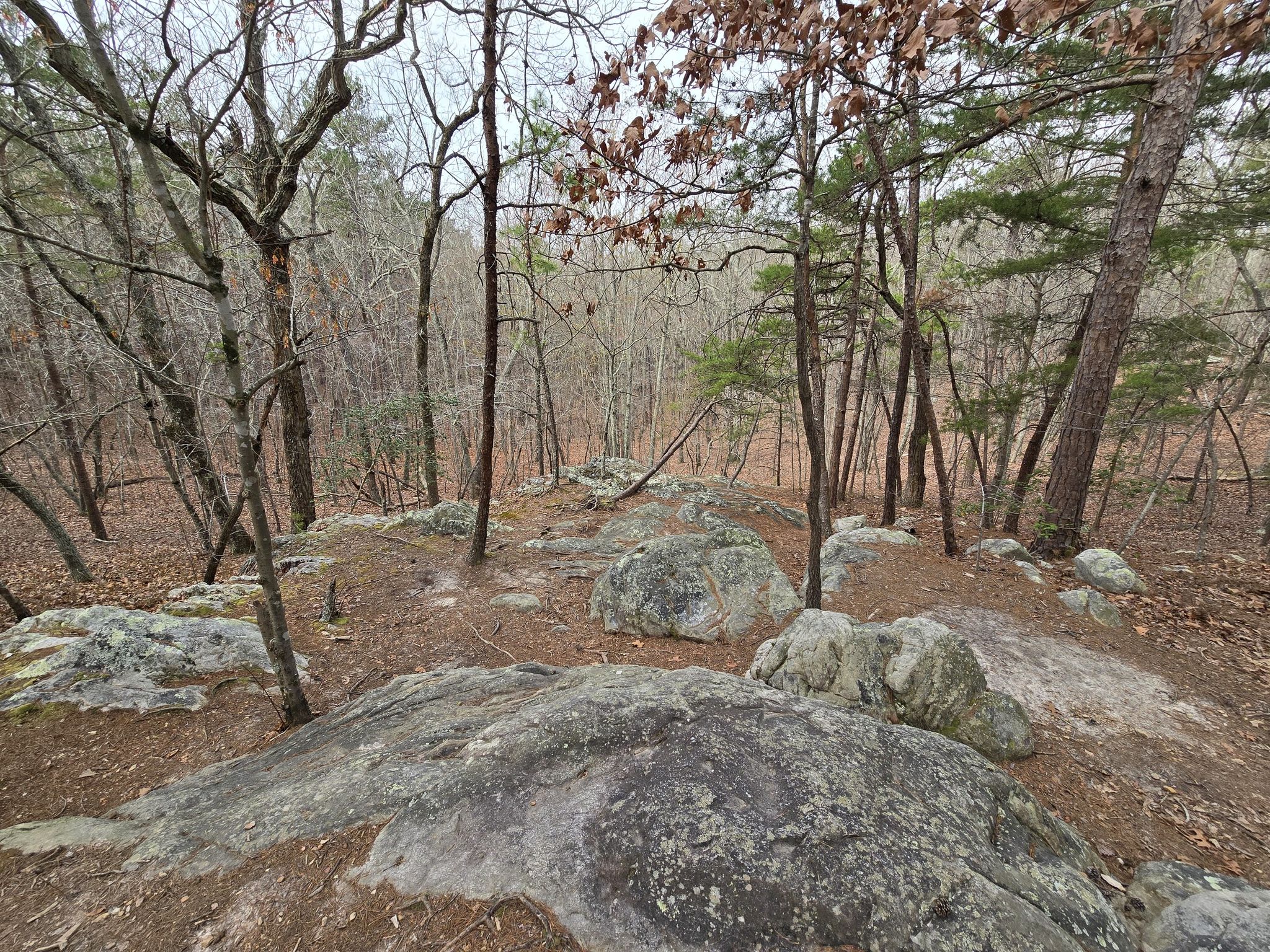 Large boulders and bare trees in a forest on an overcast day. - Hiking loop from Orange County
