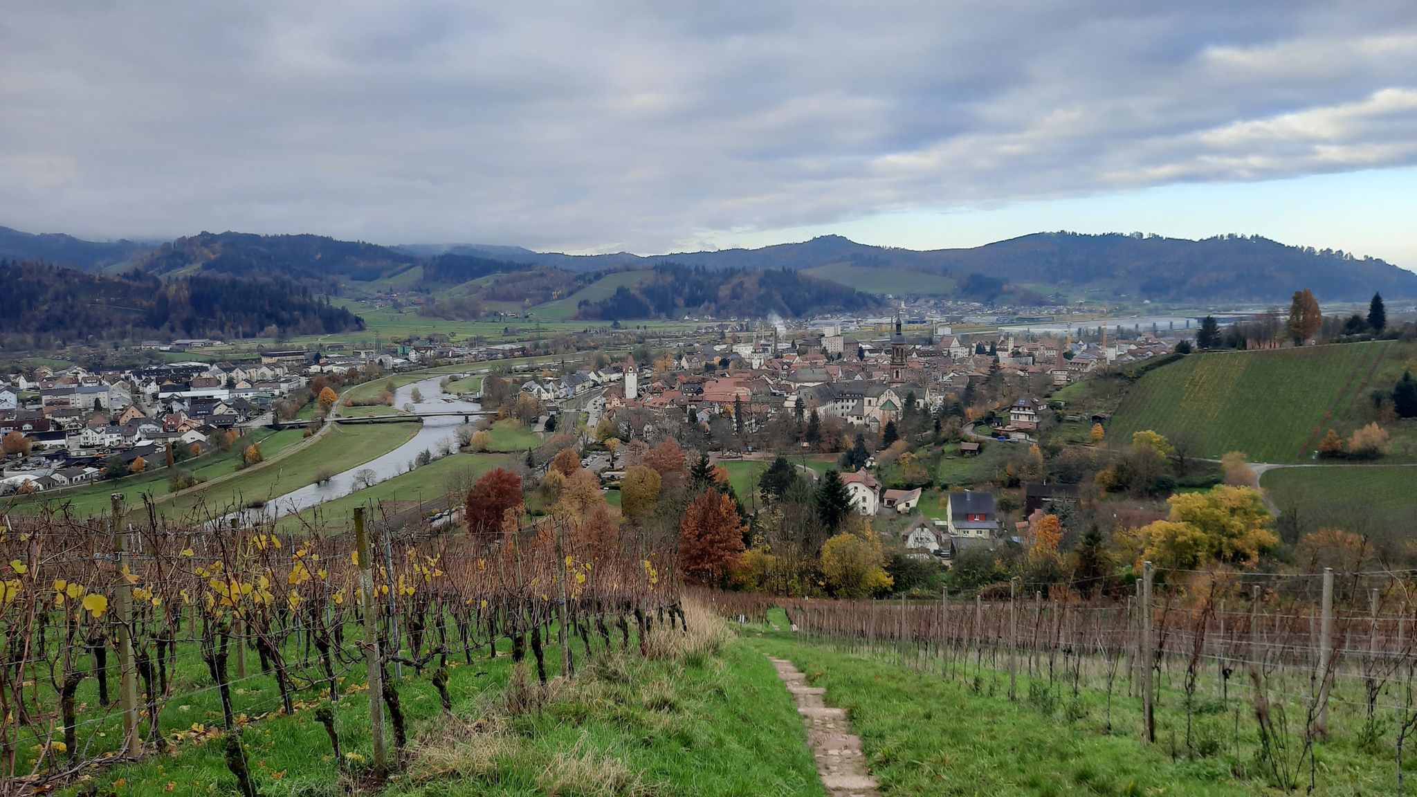Blick auf die Stadt und Kinzig
