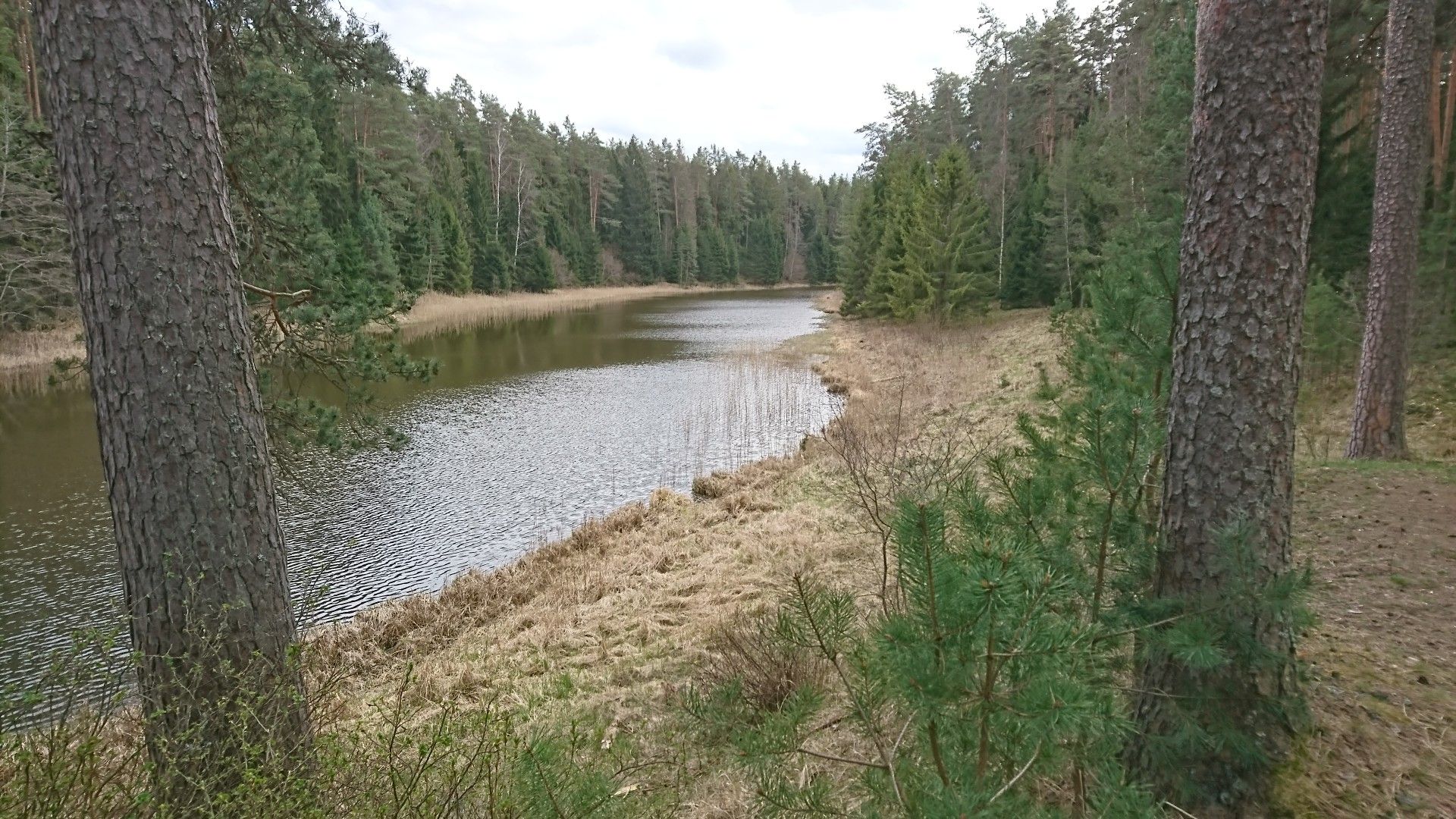 Pulga paisjärv