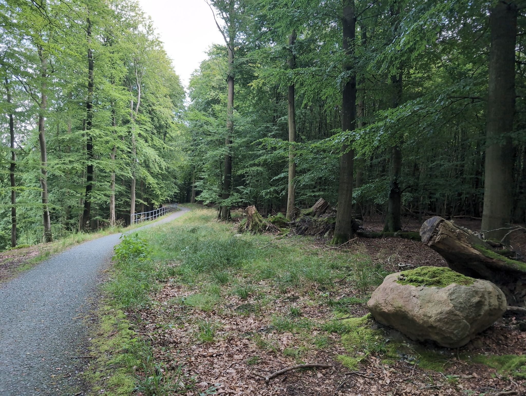 Gut ausgebauter Weg