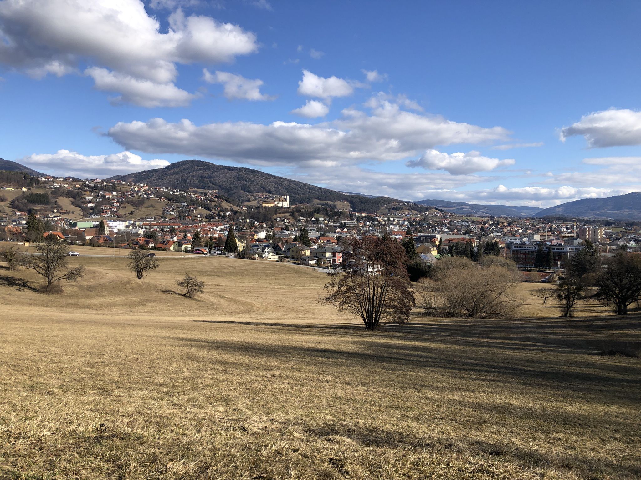 Blick über Weiz