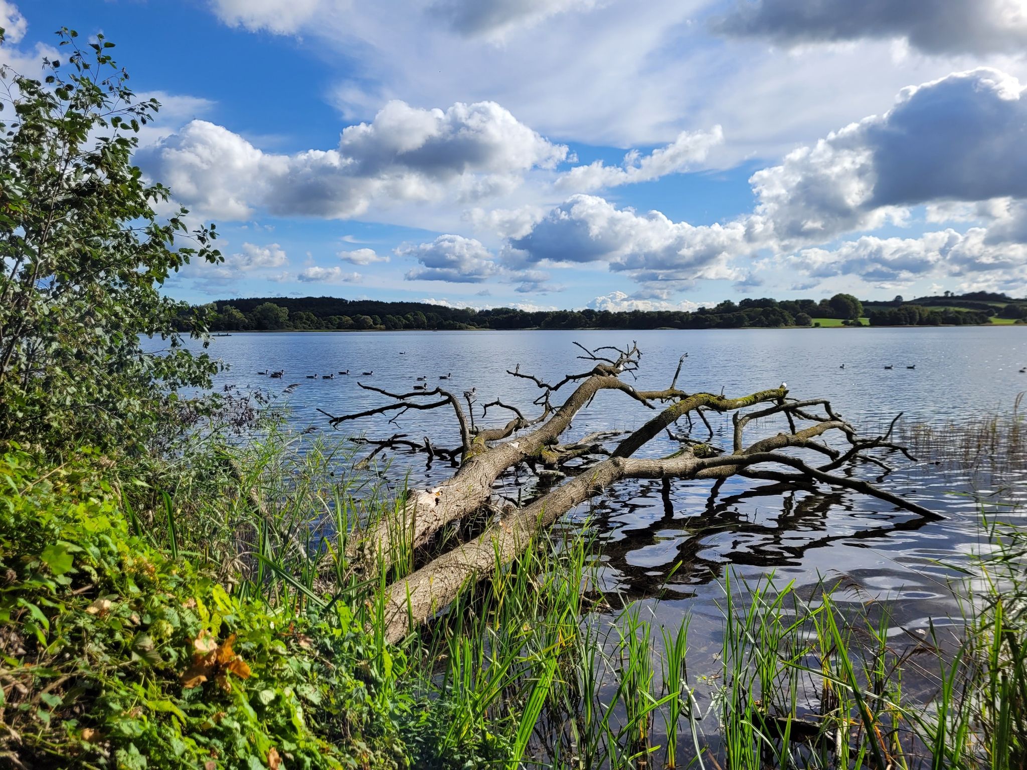 Großer Segeberger See