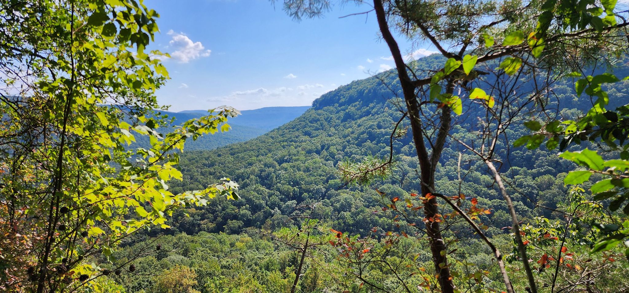 Panoramic view of lush green forested mountains under a bright blue sky. - Mullens Cove Loop Trail