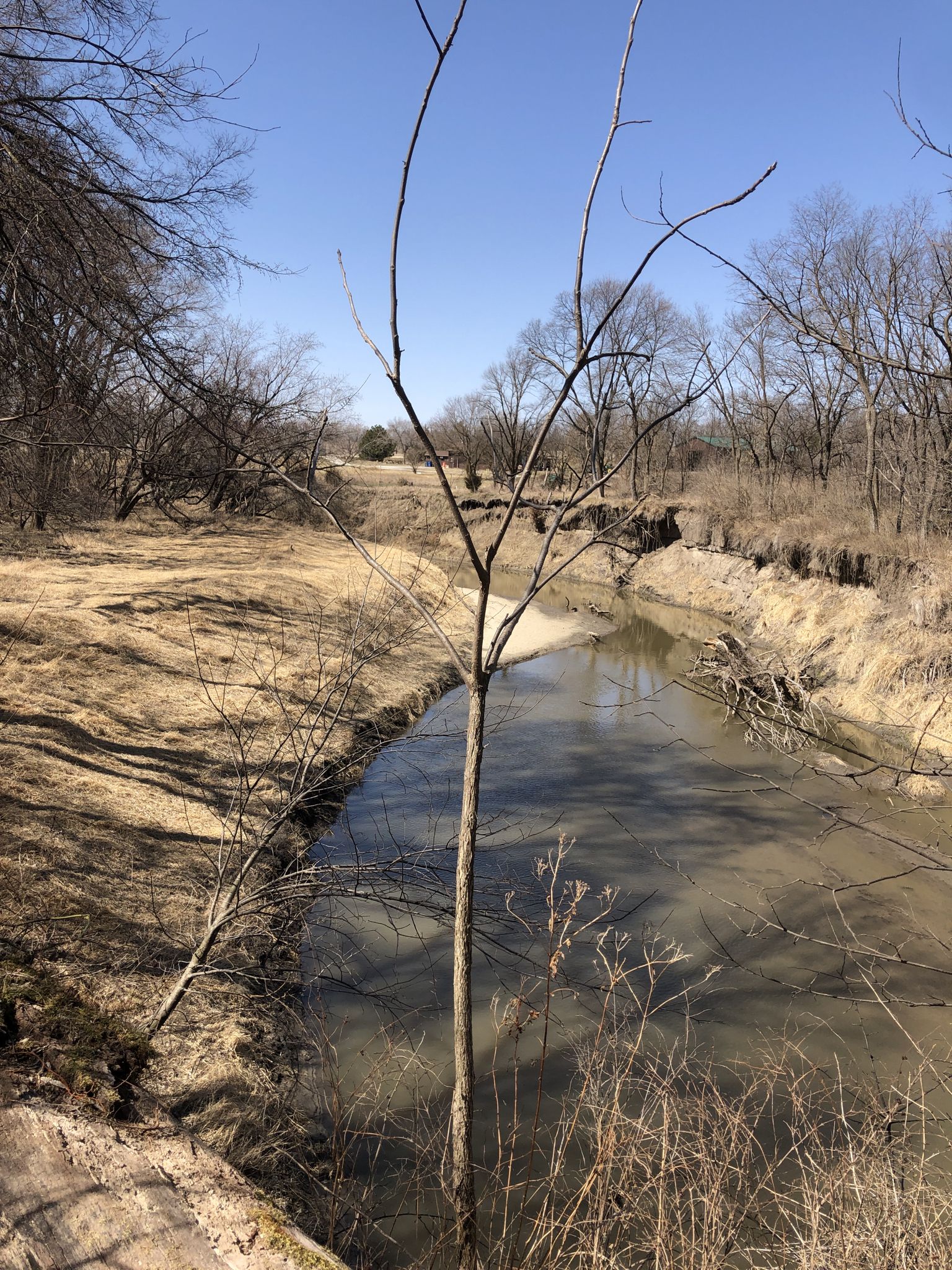 A narrow, muddy river flows through dry banks under a clear blue sky. - Wilderness Park and Jamaica North Trail Loop