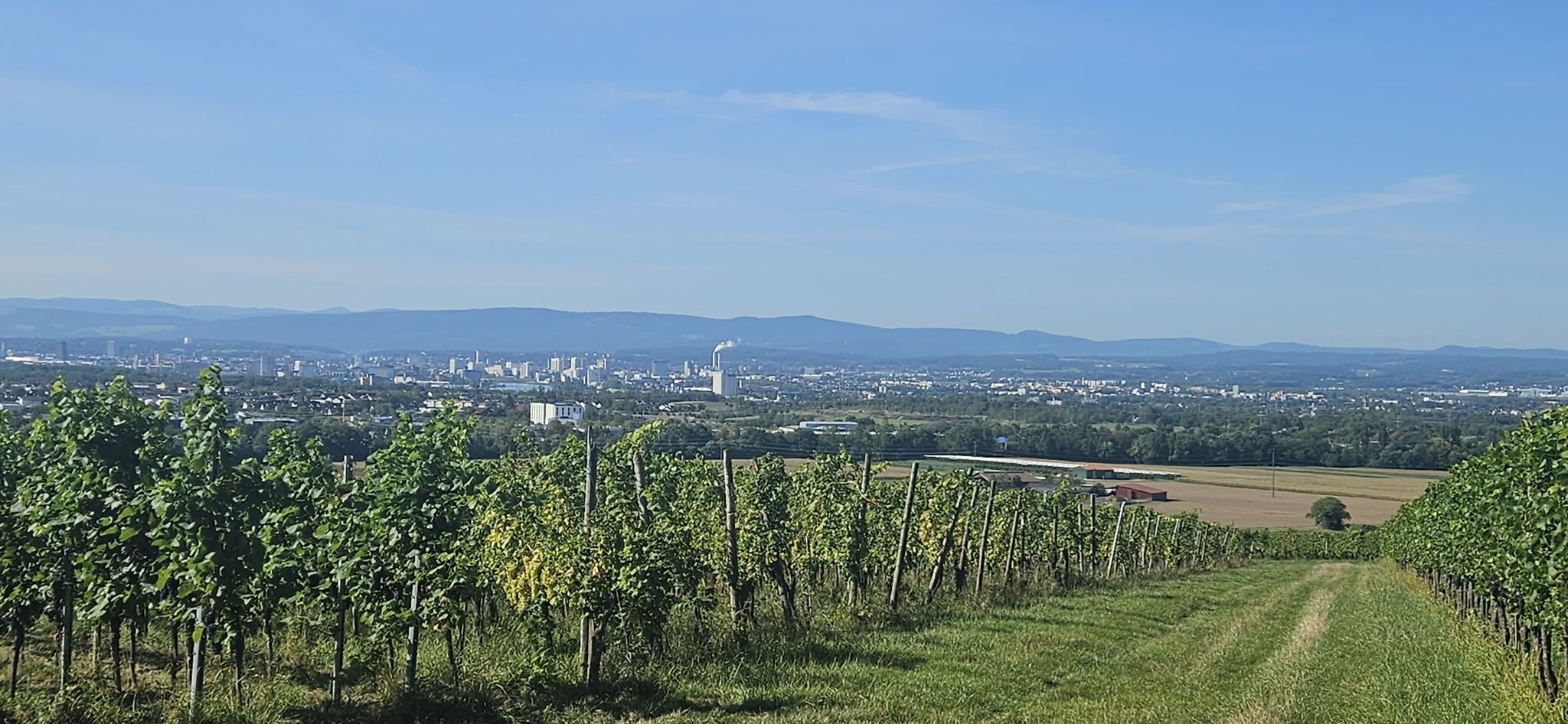 Blick nach Basel
