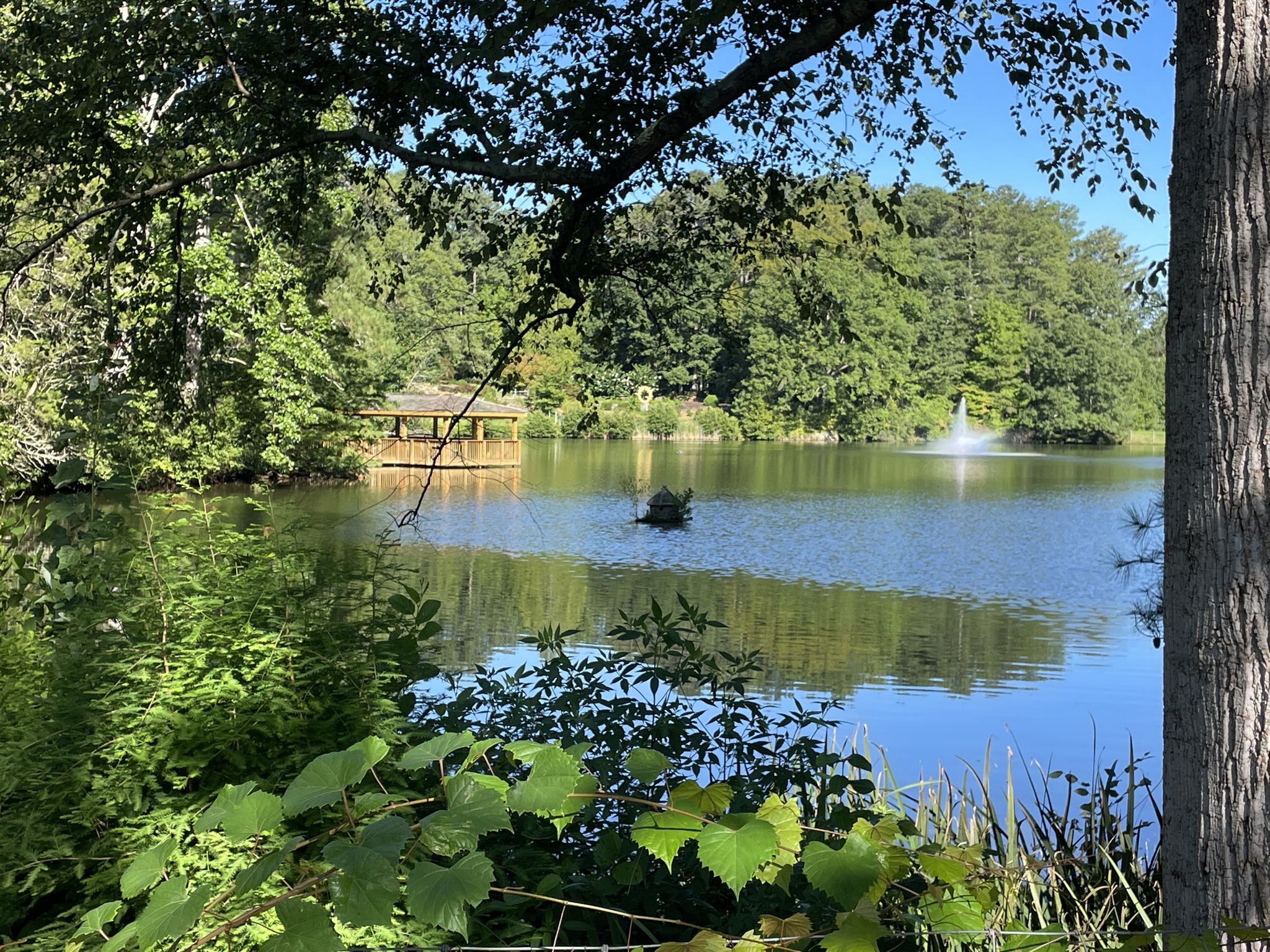 Sunny lake with a distant gazebo and fountain, framed by green trees and foliage. - Sims Lake Park Trail