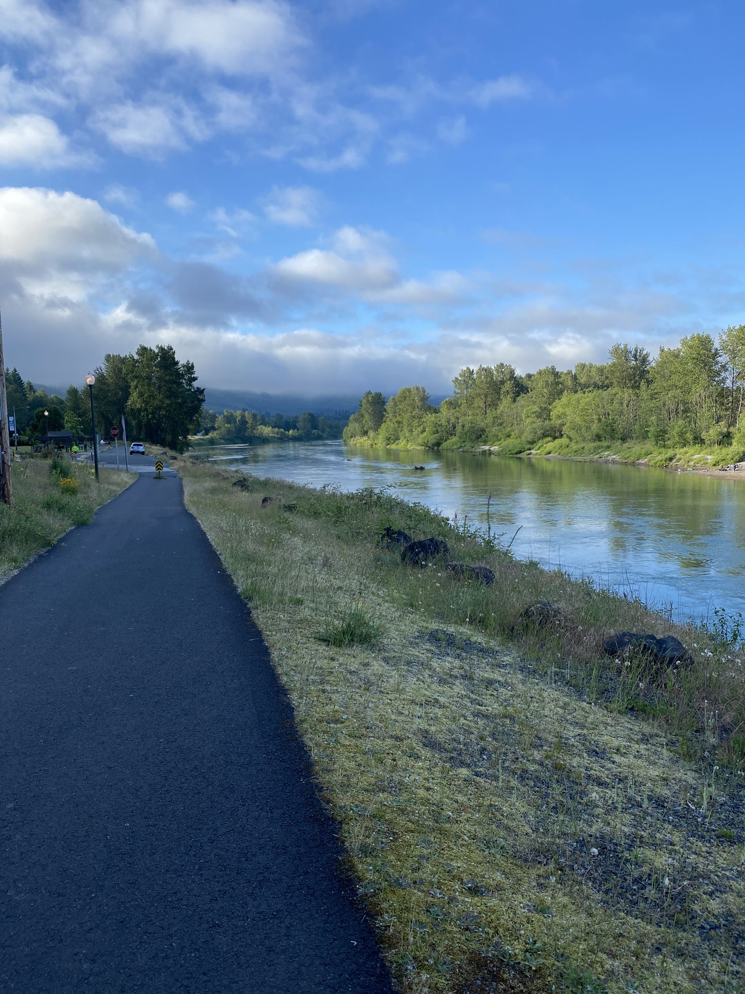 Paved path runs beside a calm river with green forested banks. - Bridge over Lake Sacajawea – Lake Sacajawea Park loop from Abernathy Fish Technology Center