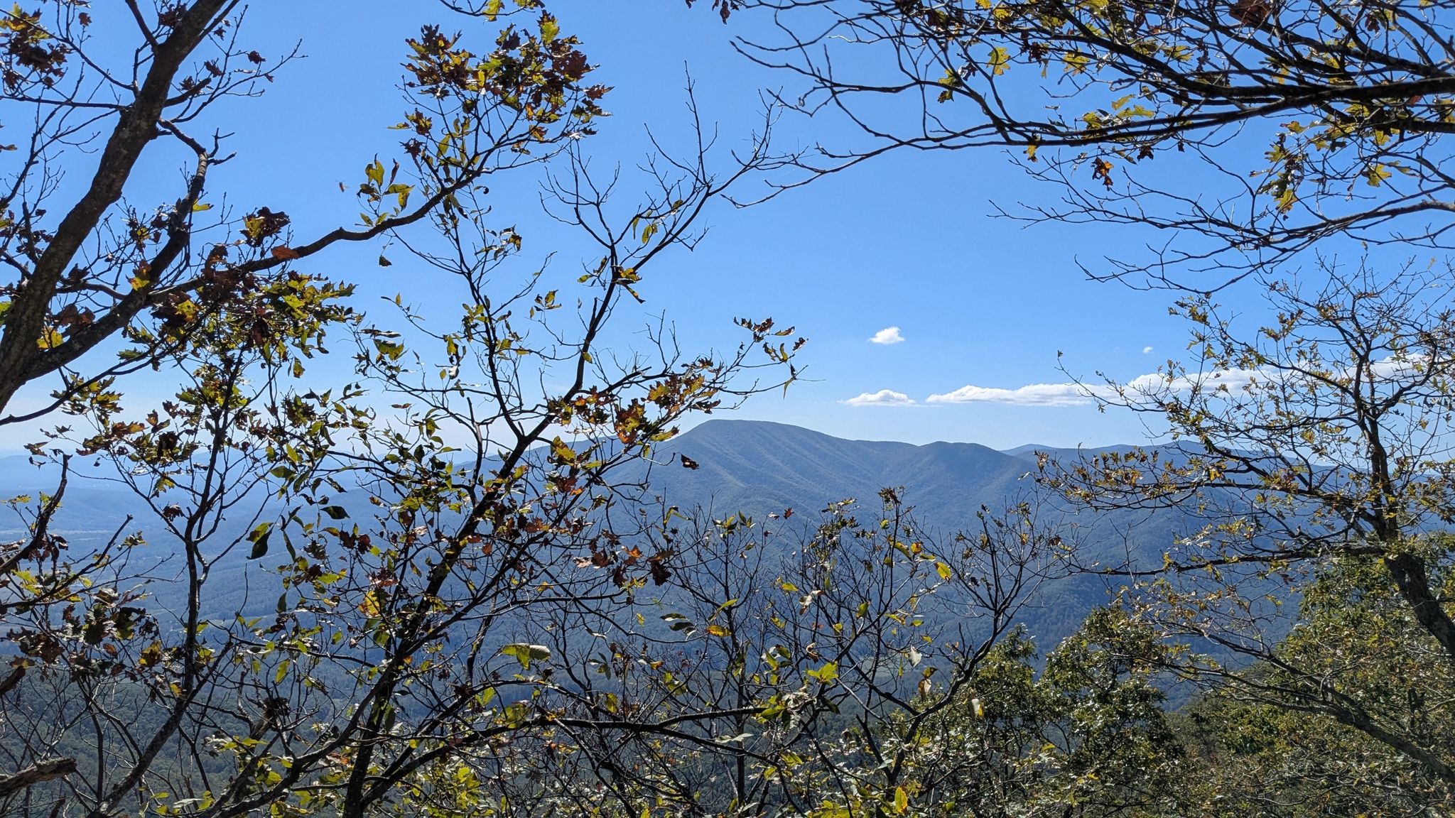 Distant mountains visible through tree branches under a clear blue sky. - Hanging Rock