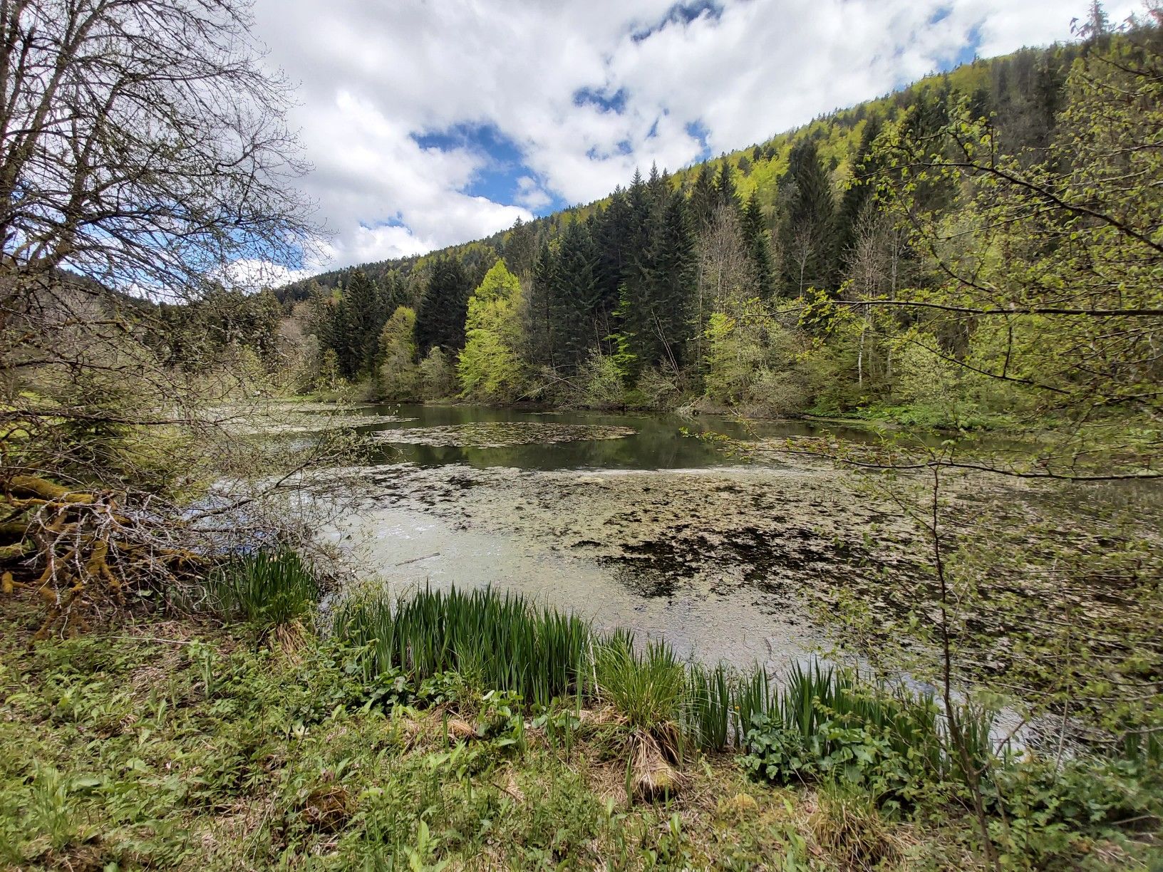 Etang de Bollement