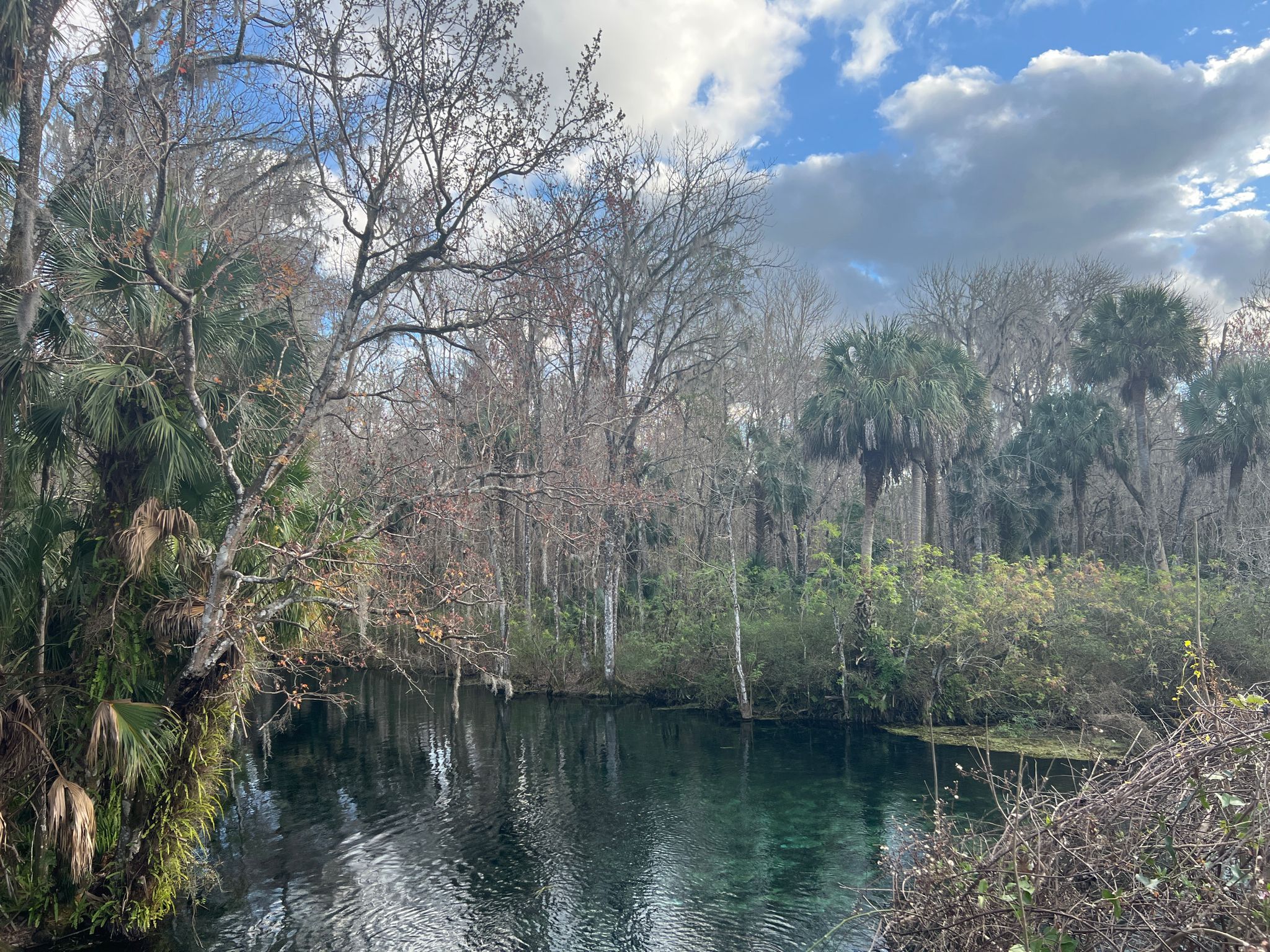 Dark, calm water surrounded by dense, varied trees under a cloudy sky. - Marshall Swamp and Silver Springs Loop